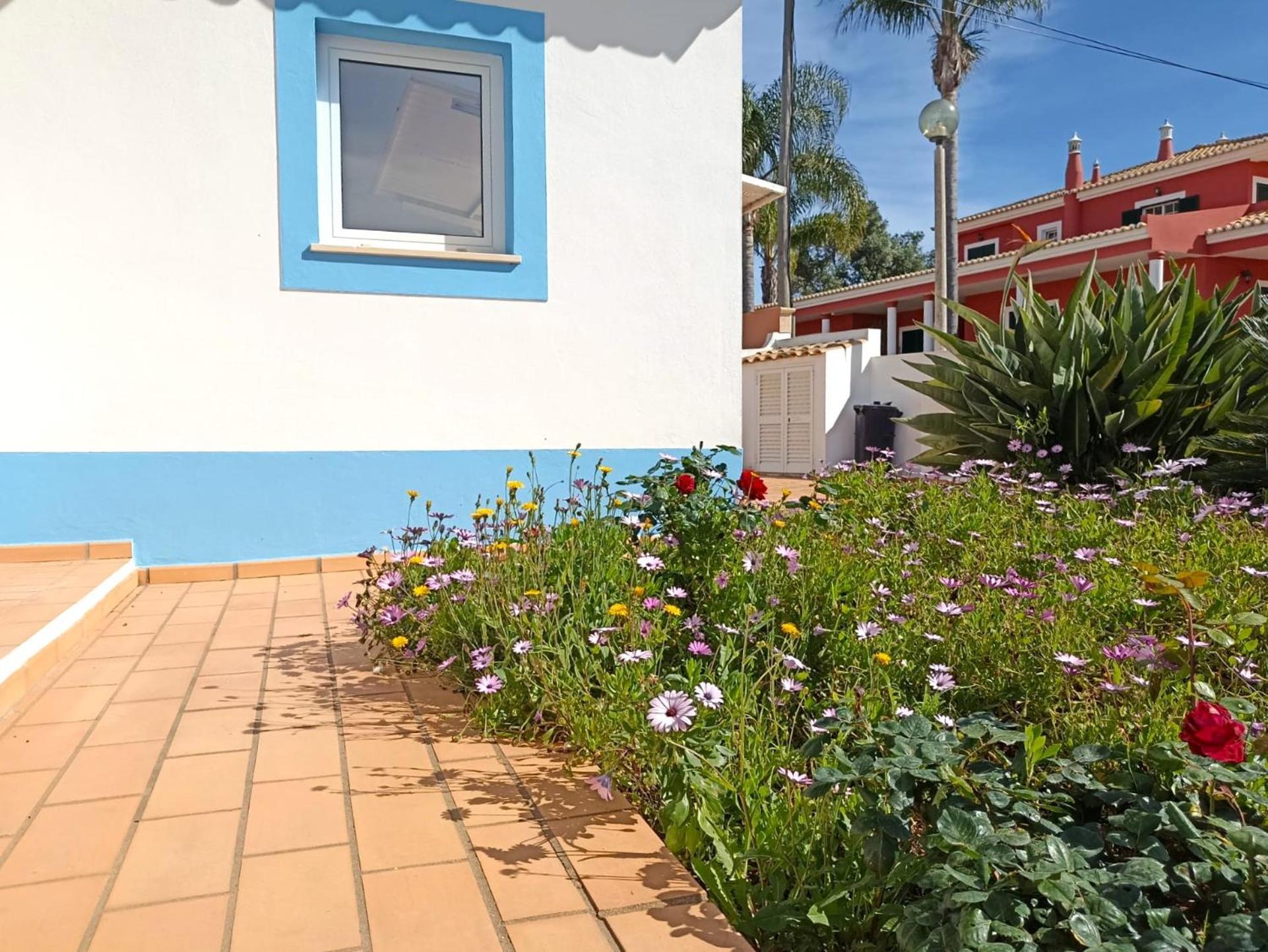 Casa Azul *