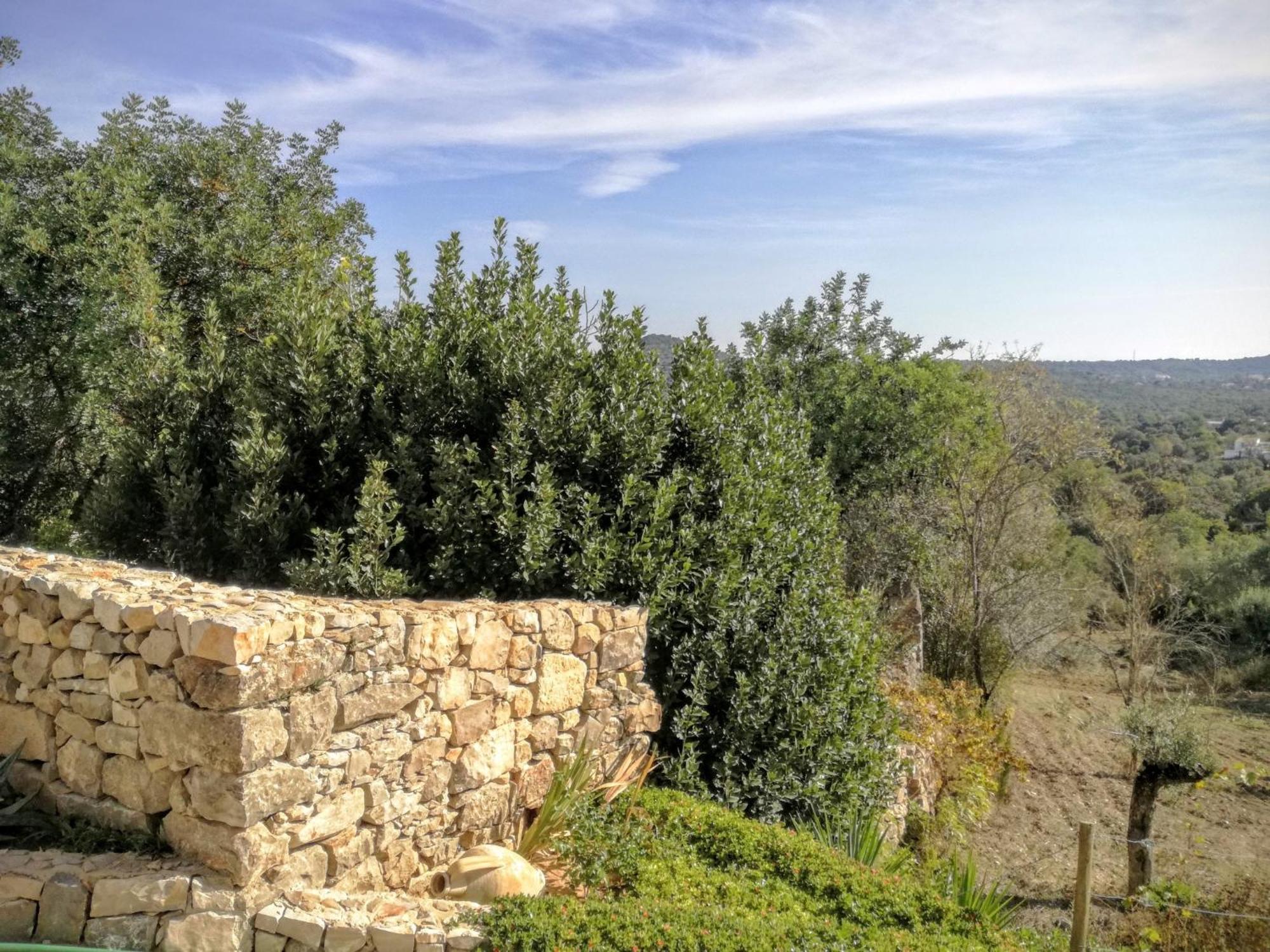 Farm stay Monte Da Ribeira Estoi