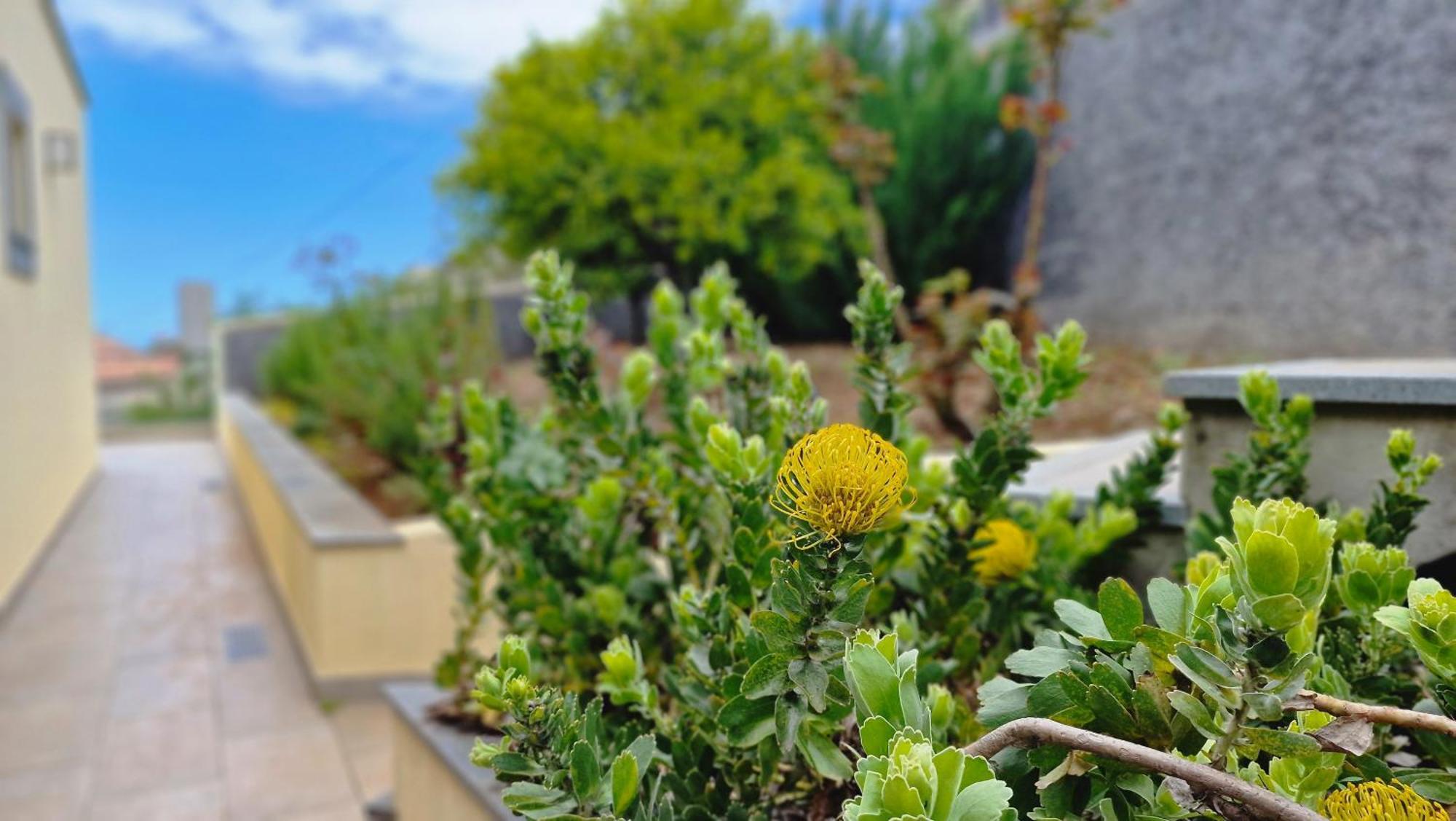 Holiday home Capela's House By Lovelystay Ribeira Brava