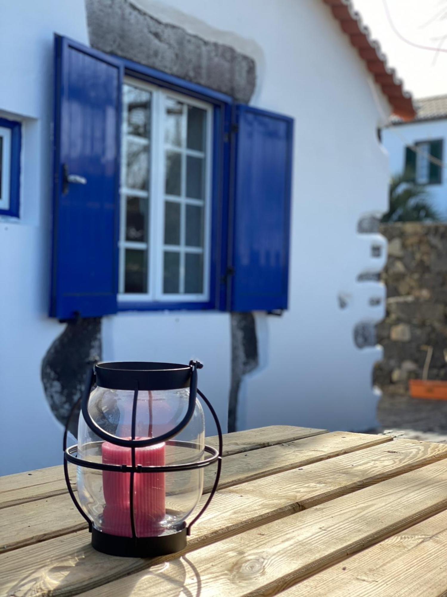 Vacas Felizes - Casa Do Badalo *