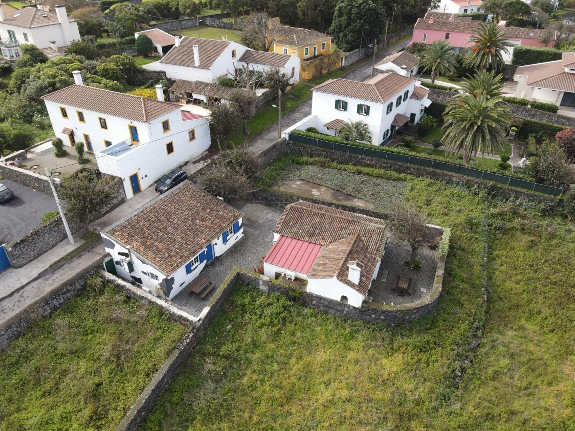 Vacas Felizes - Casa Do Badalo Ribeira Grande