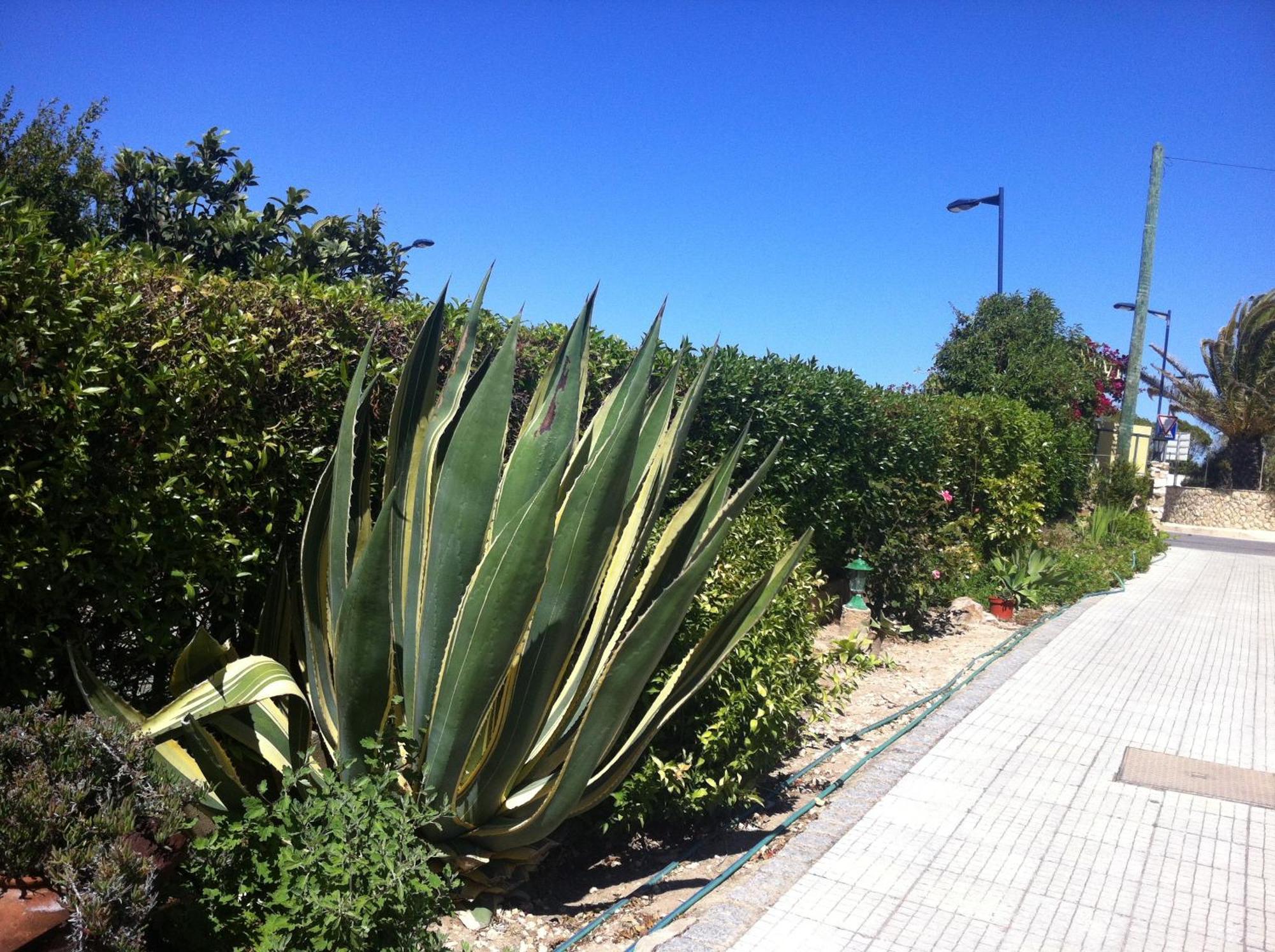 Guest house Casa Do Cabo De Santa Maria 3*