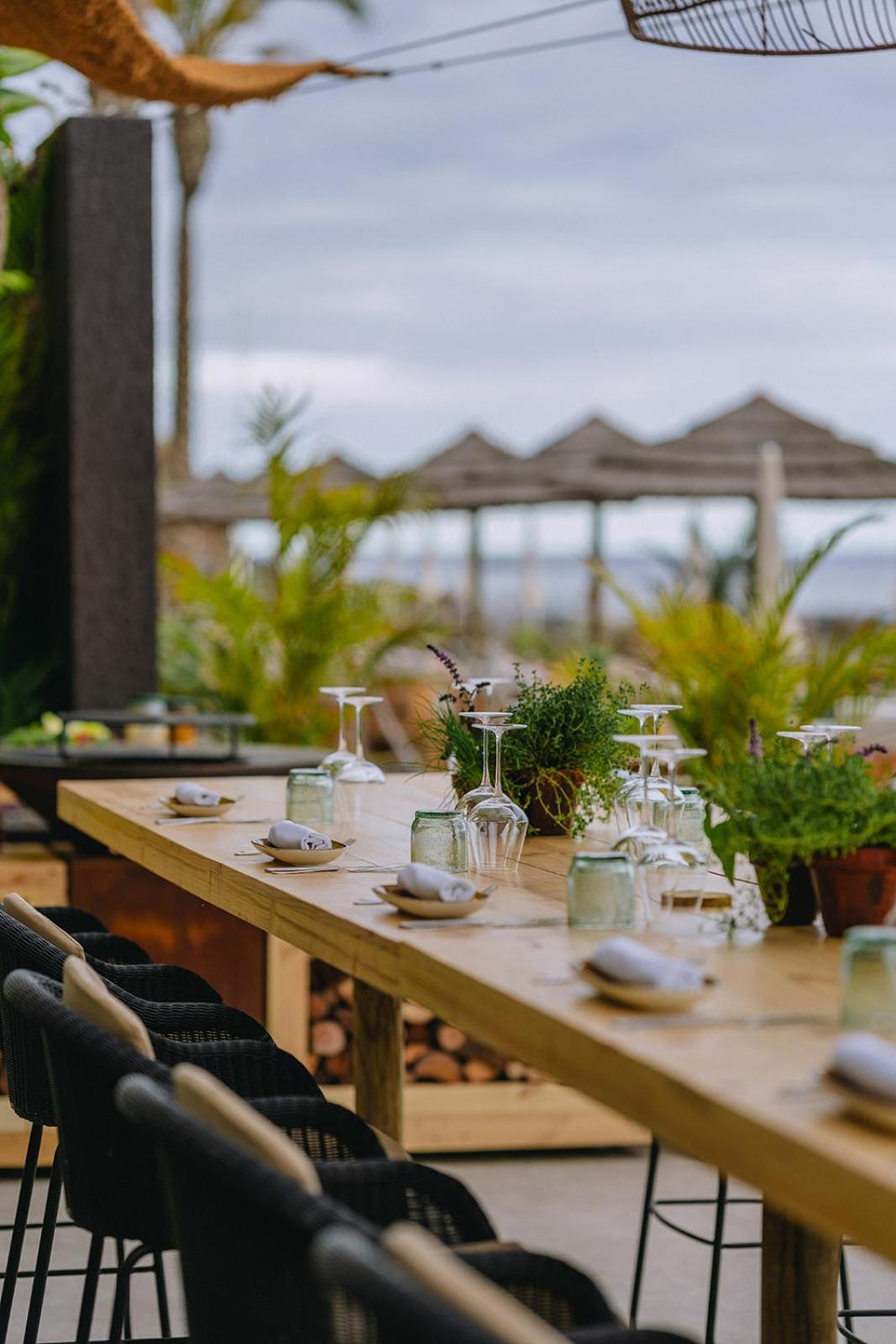 Saccharum - And - Savoy Signature Resort 5*