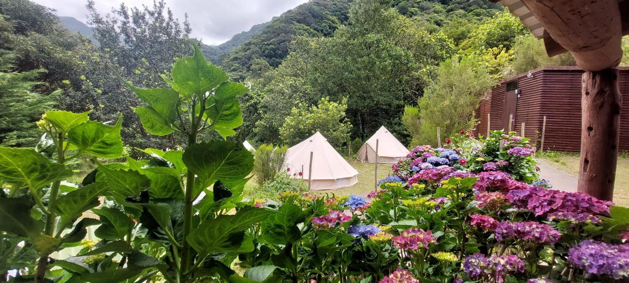 Nature Retreat - Laurel Forest Luxe tent