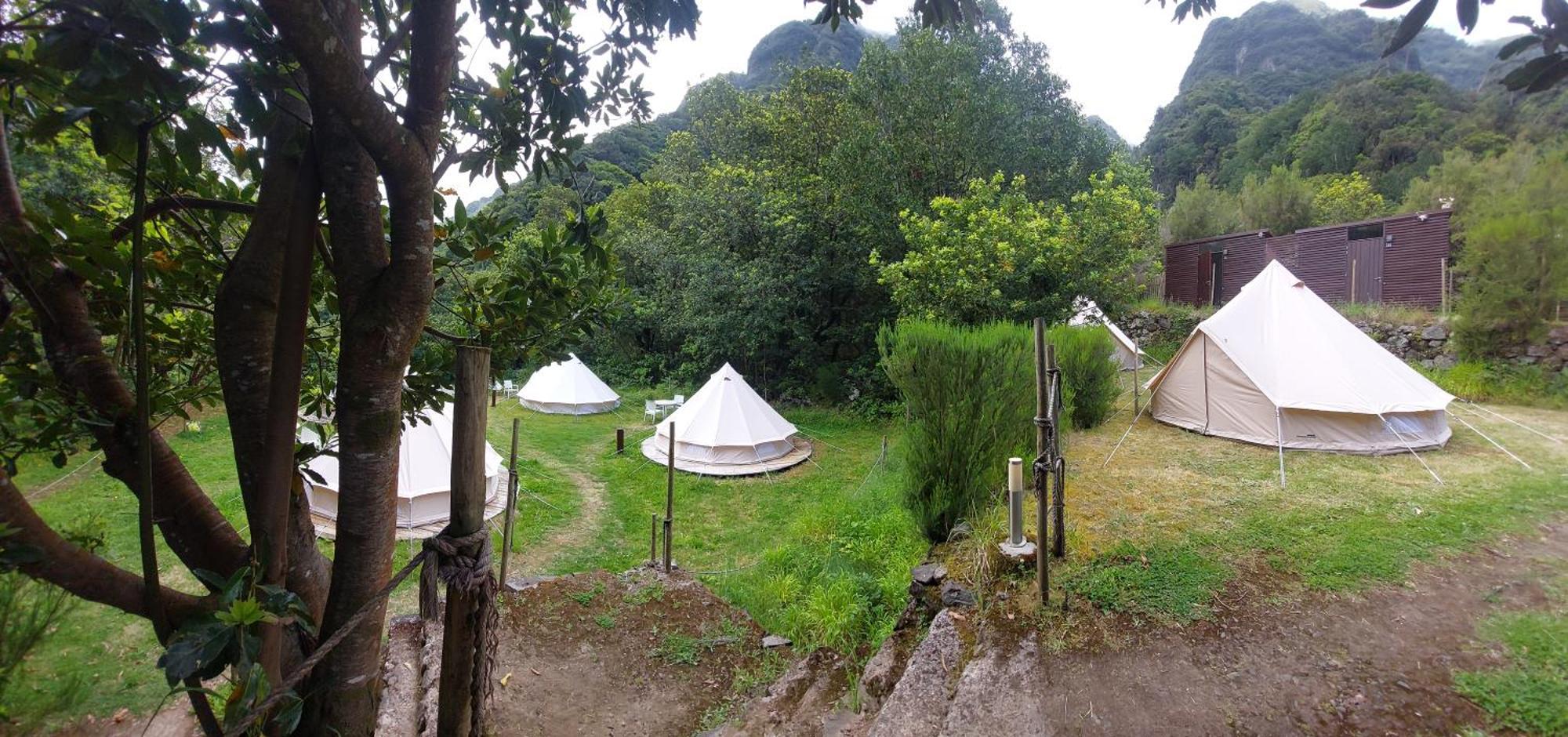 Luxe tent Nature Retreat - Laurel Forest *