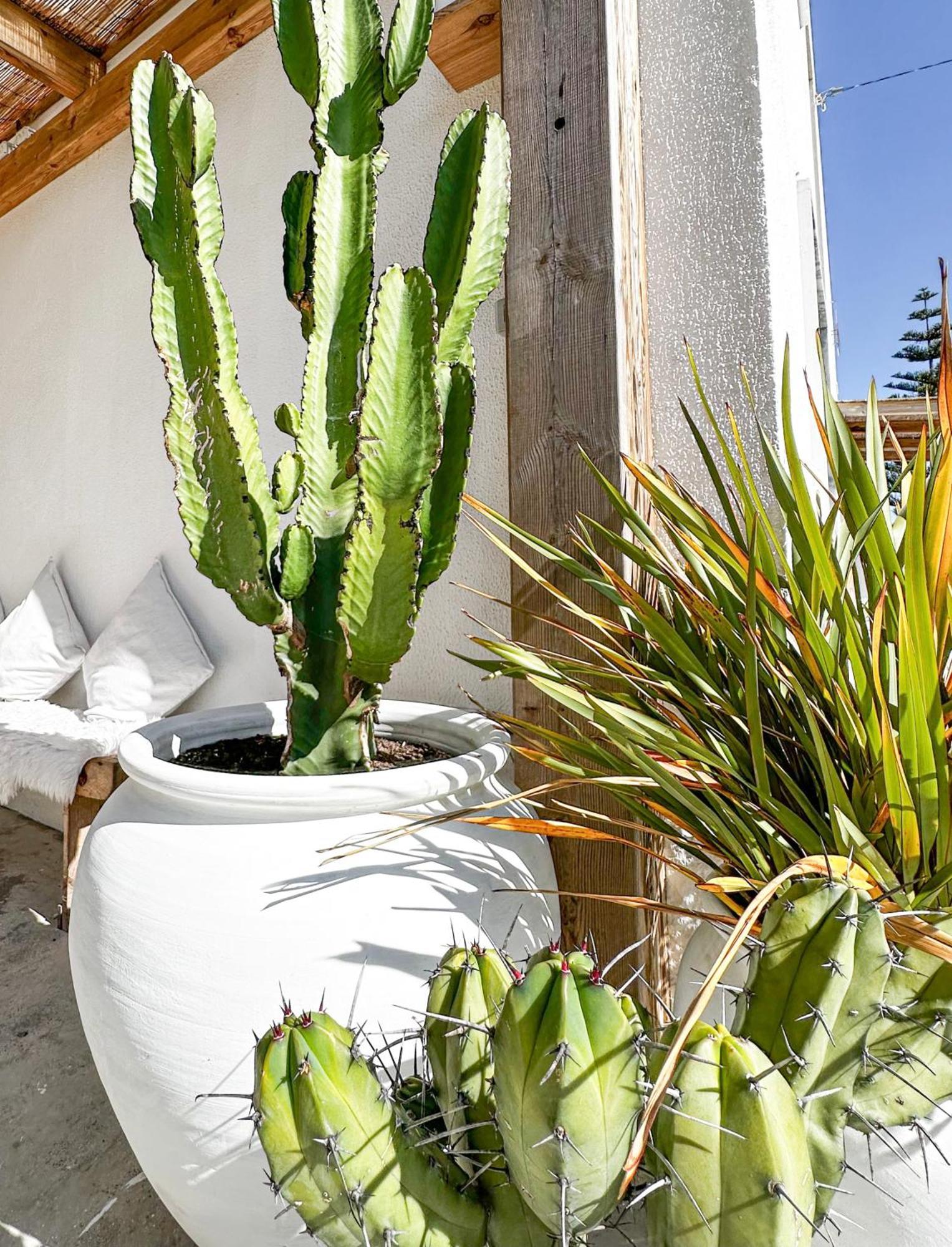 Ocean House - Ribeira D'ilhas Hostel Ericeira