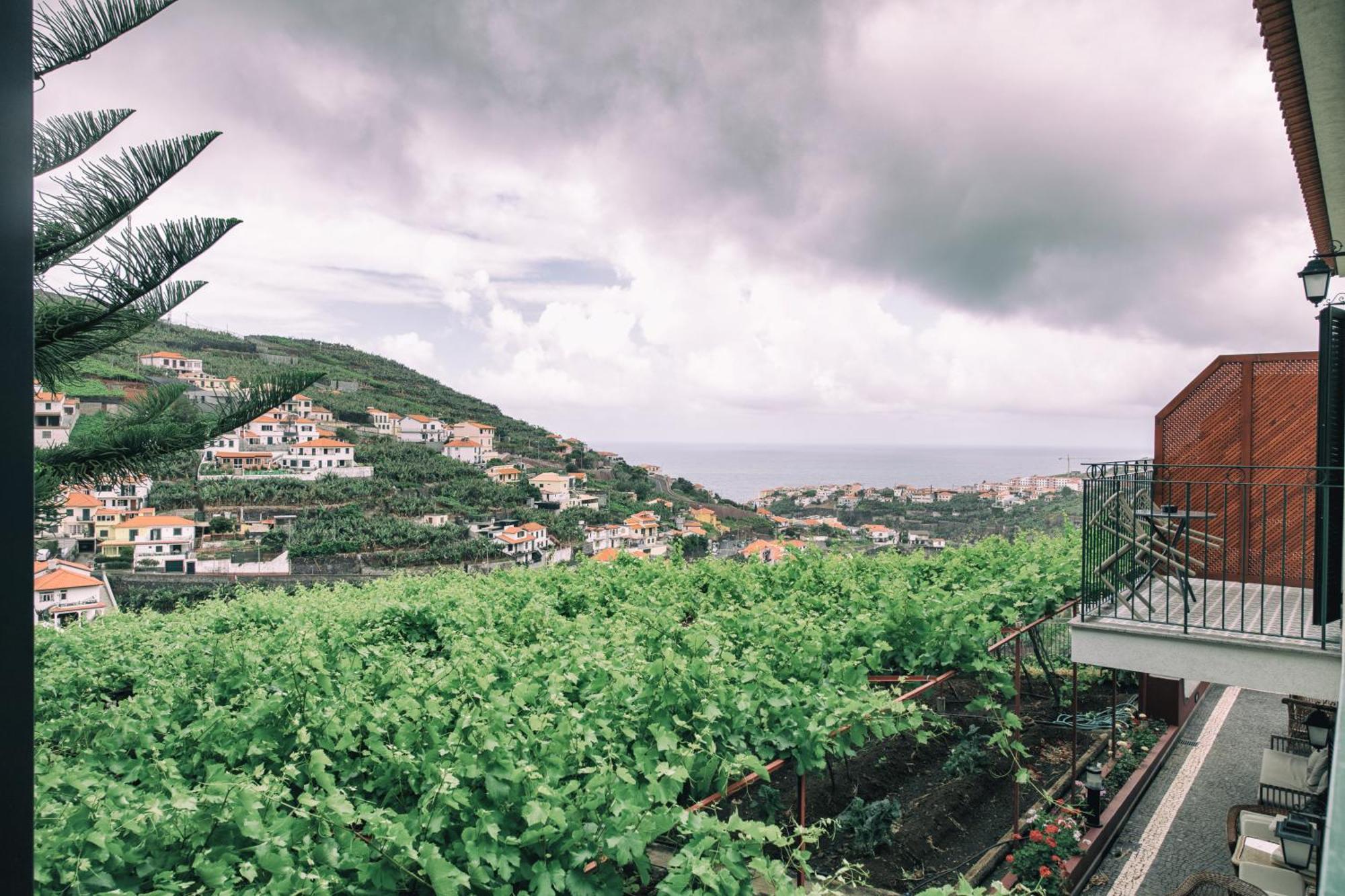 Farm stay Quinta Da Saraiva