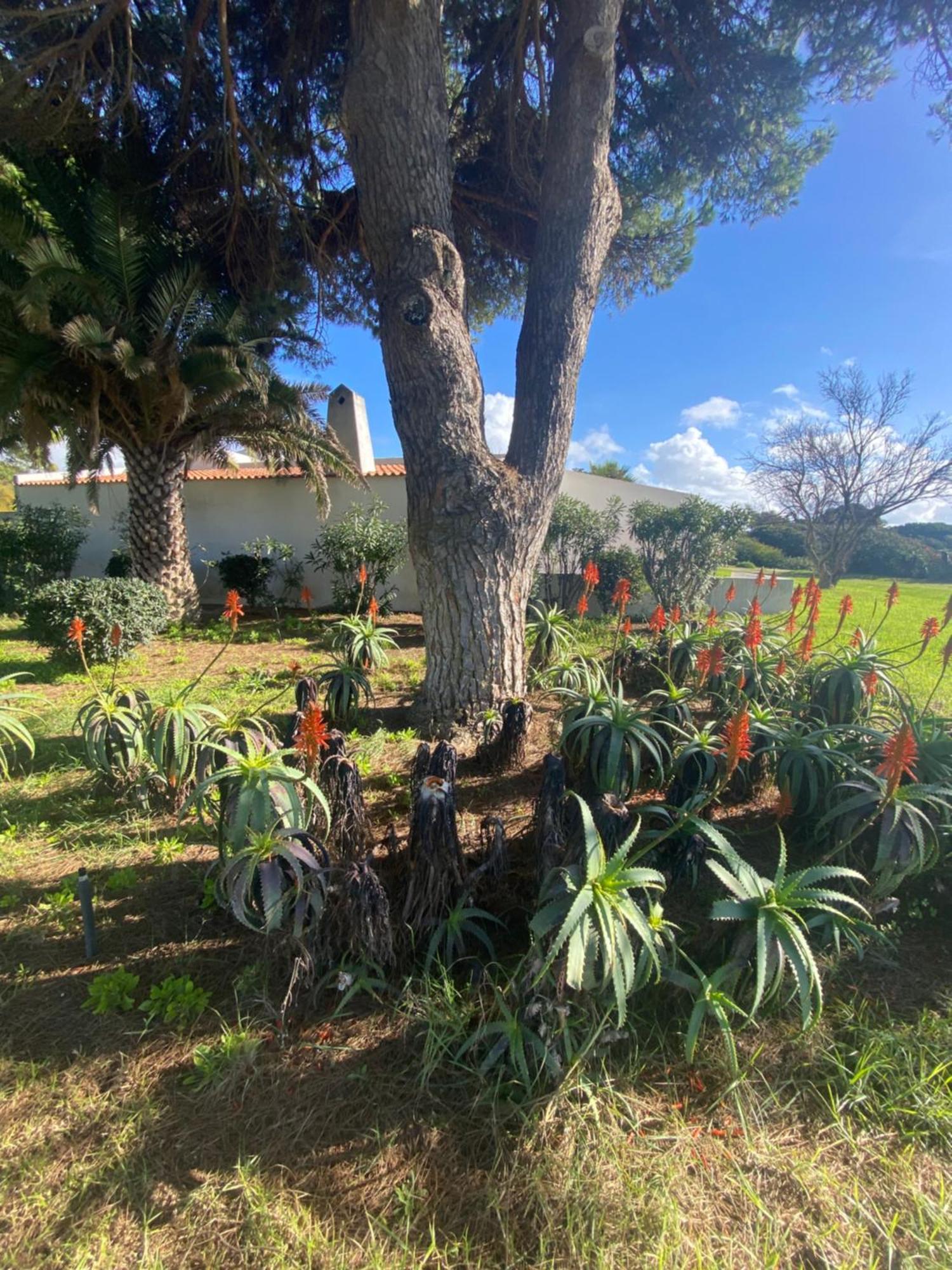 Prainhaactivitiesbeachhouse Holiday home Alvor