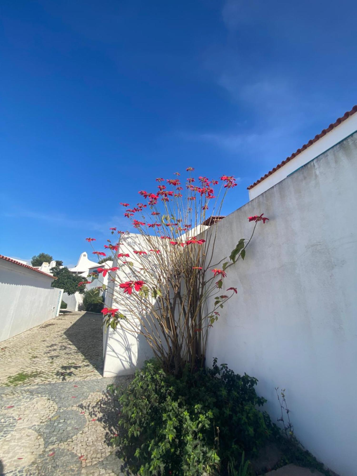 Prainhaactivitiesbeachhouse