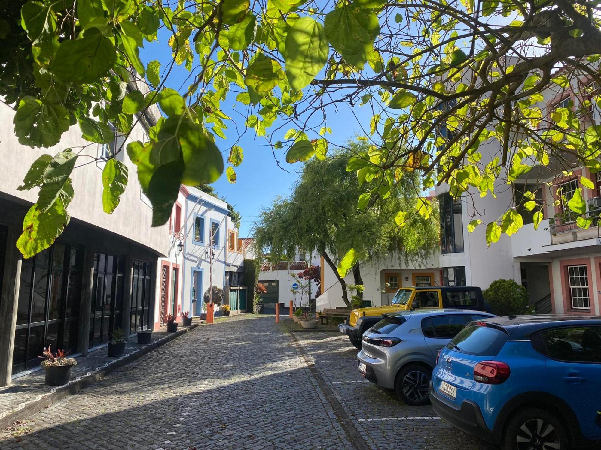 Turisticos Verdemar