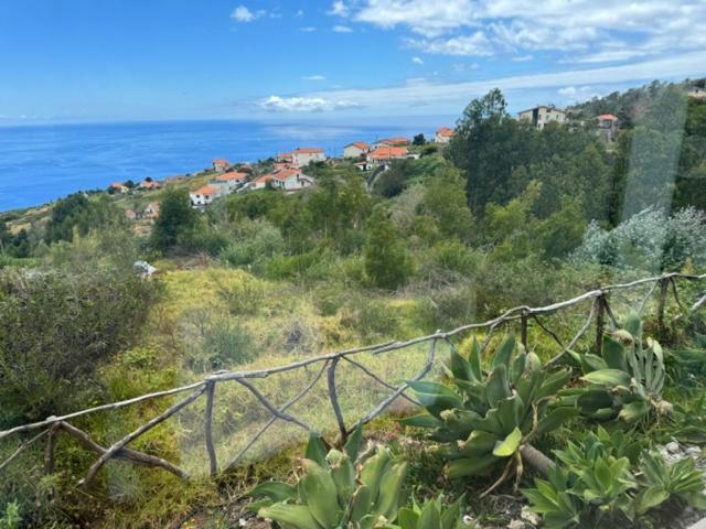 Modular Vakantiehuis Calheta (Madeira)