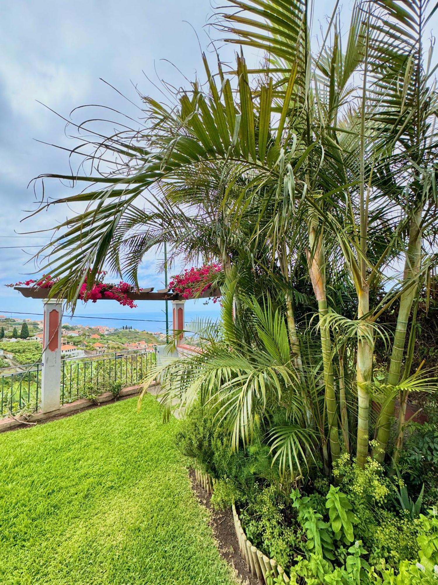 Holiday home Casa Do Piquinho Ponta do Sol (Madeira)