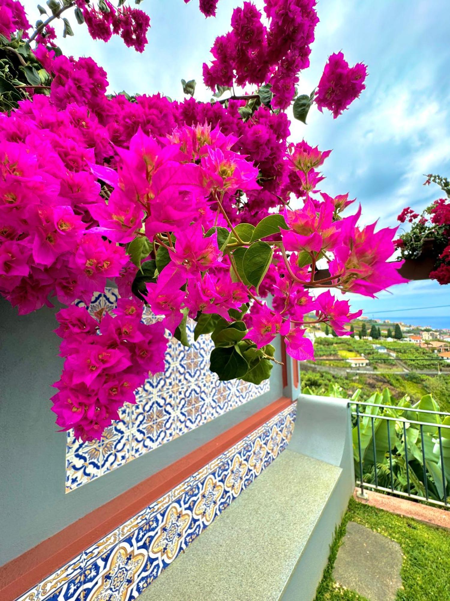 Casa Do Piquinho Holiday home *