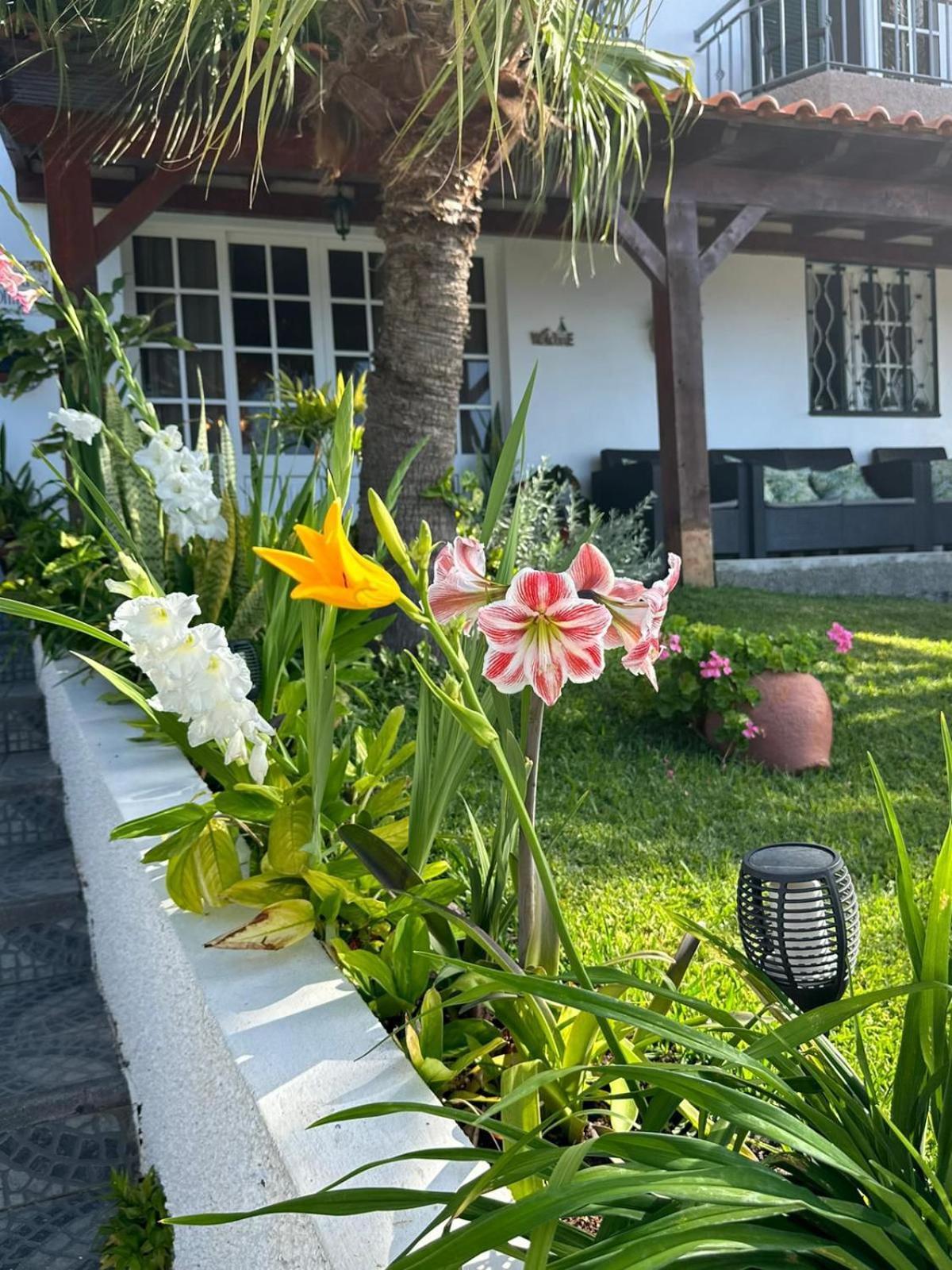 O Meu Sonho Calheta (Madeira)