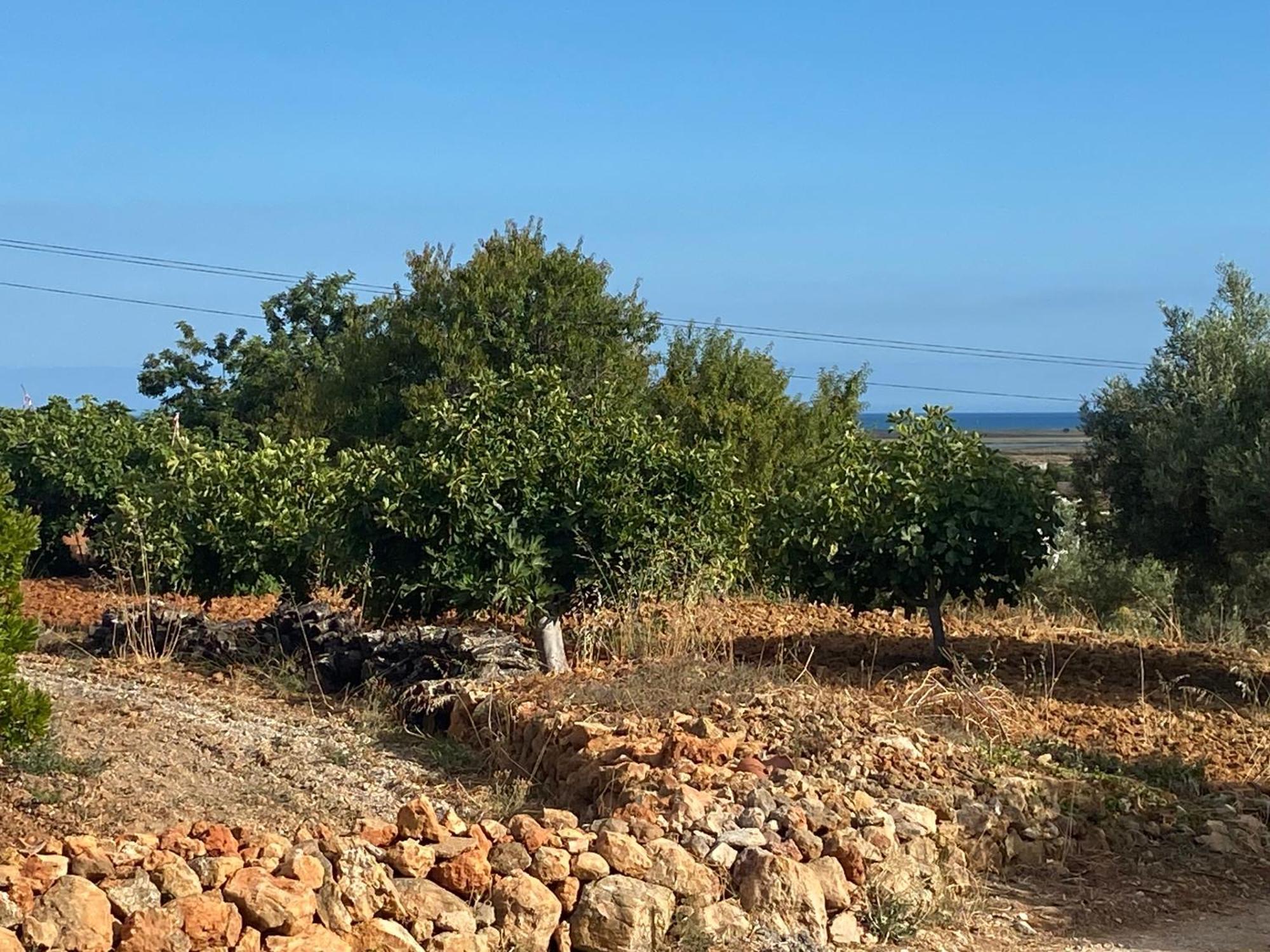 The Retreat - Ria Formosa Hamlet Vakantiehuis