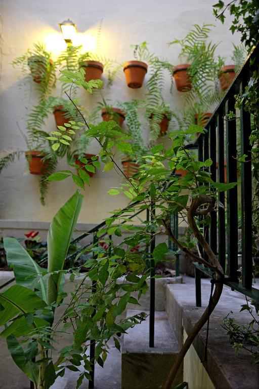 29 Madeira *