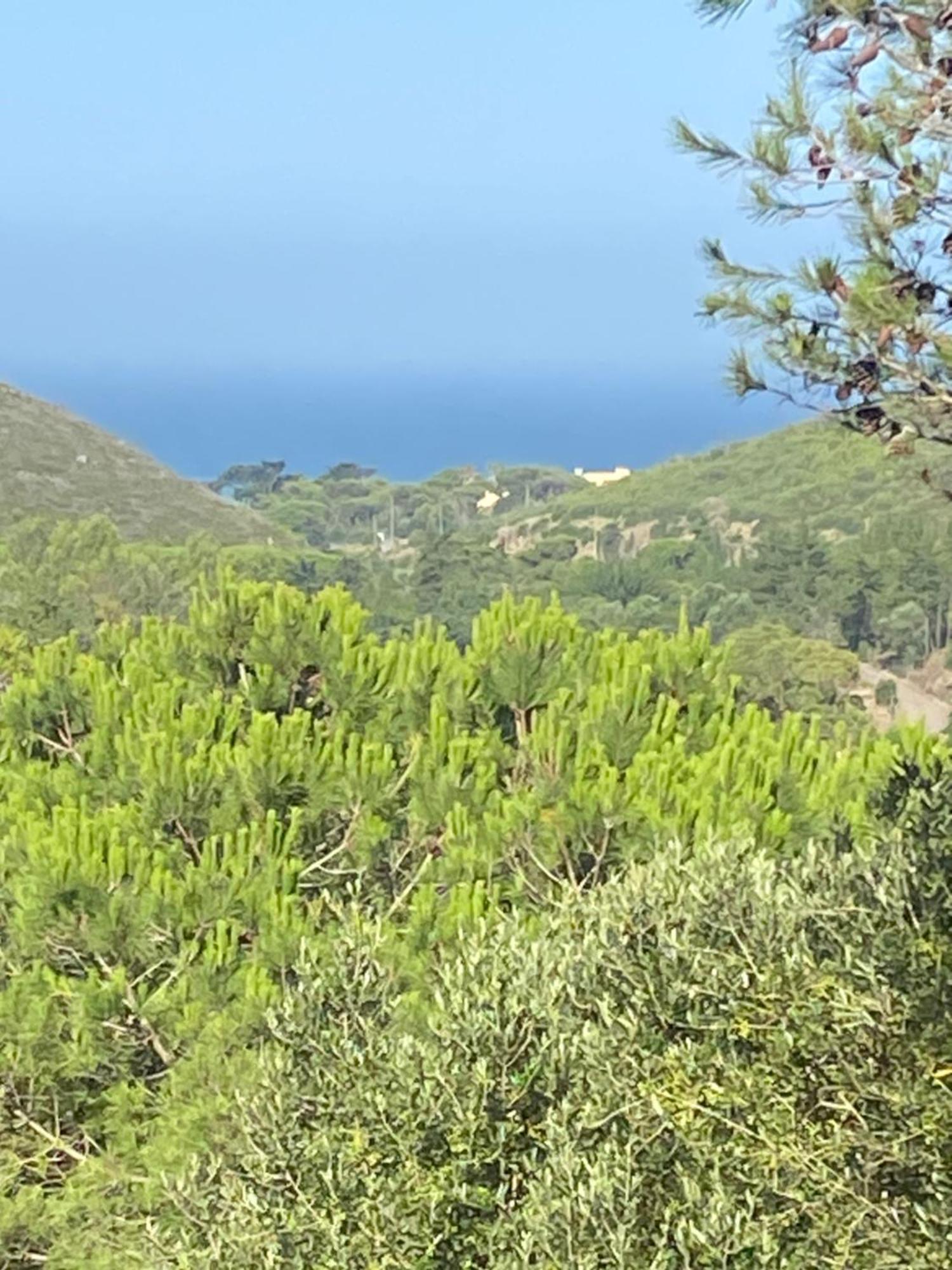 Amazigh Guincho & Cascais
