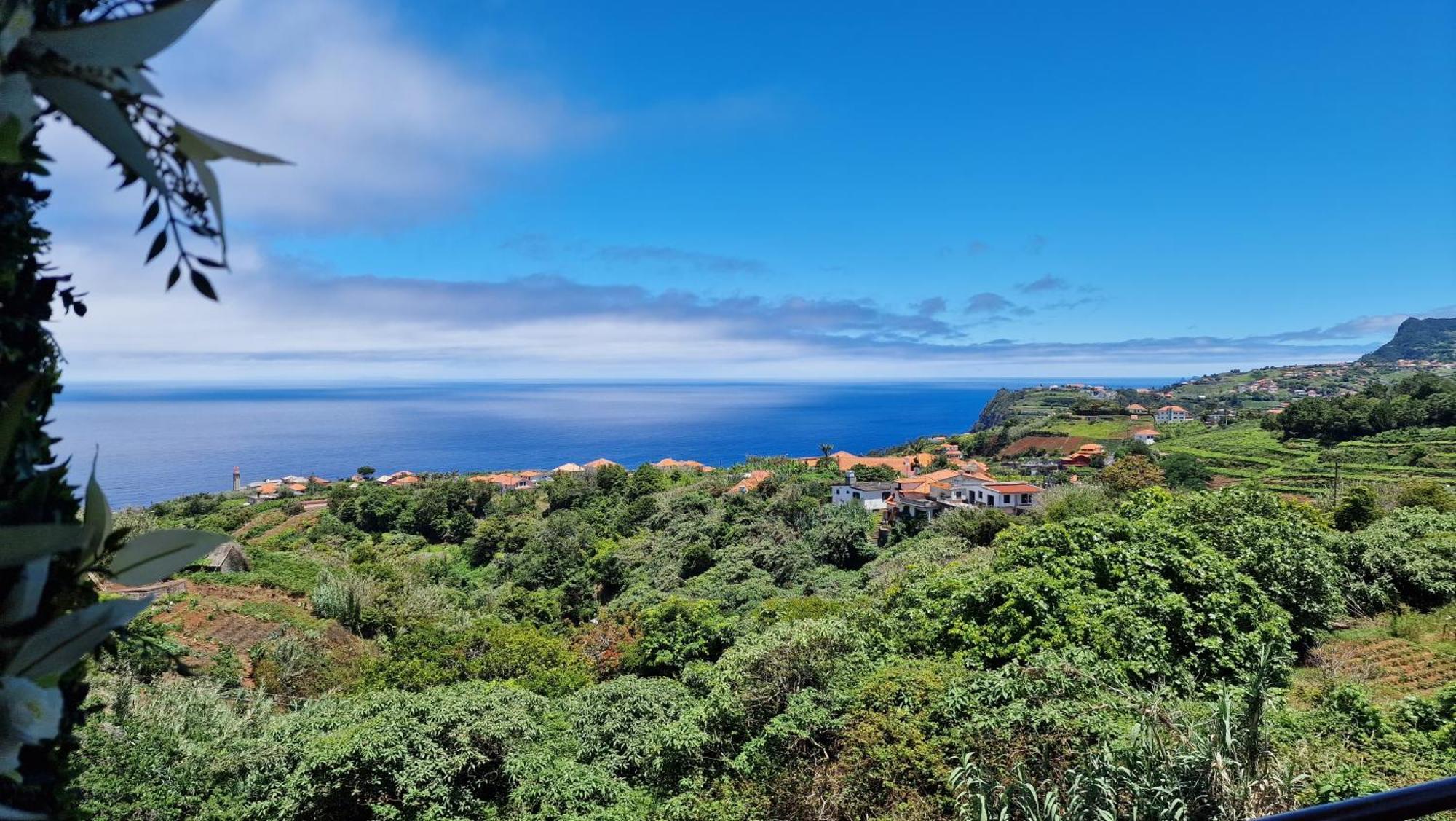 Alta Vista