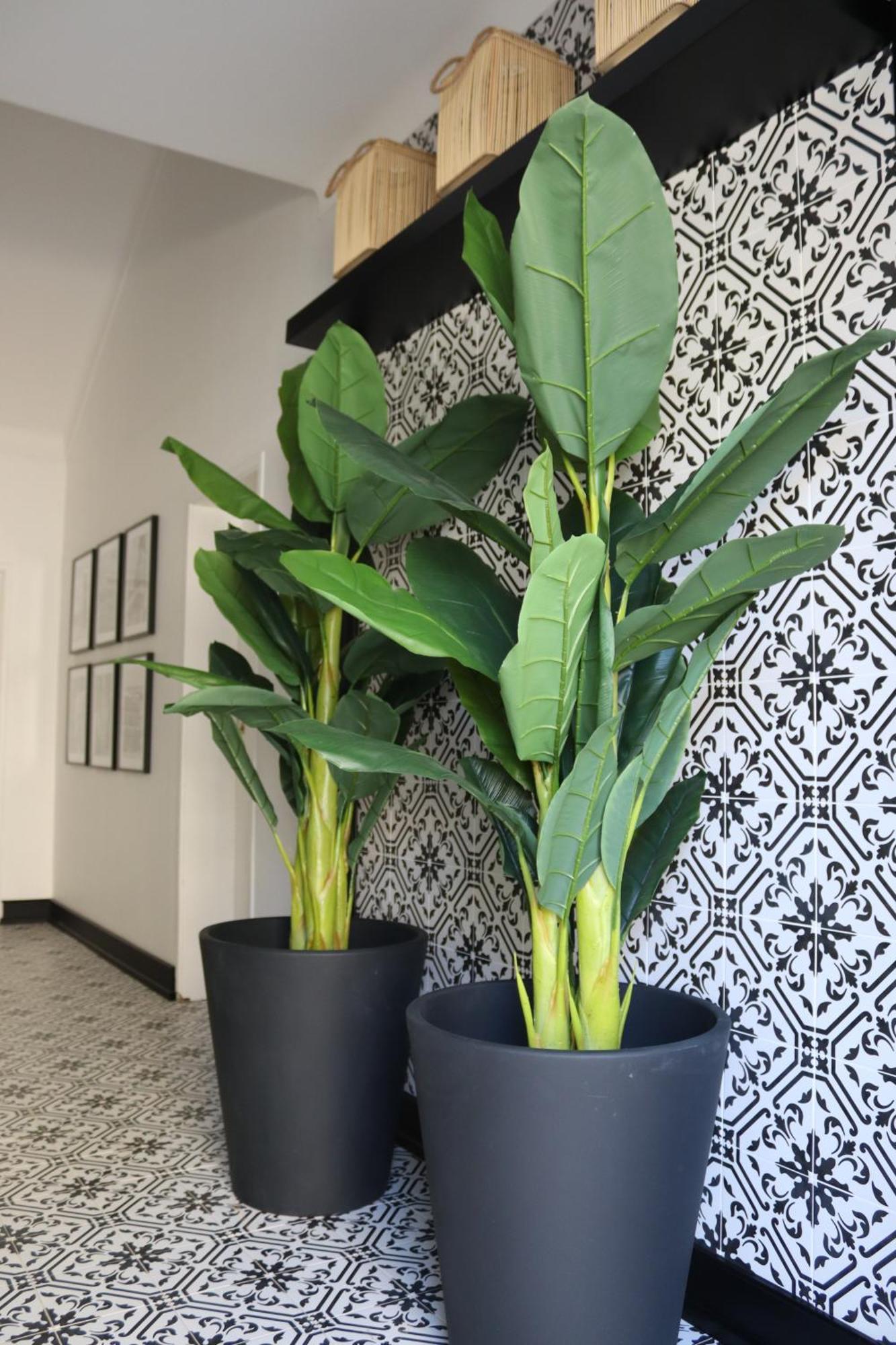 Apartment Casa 