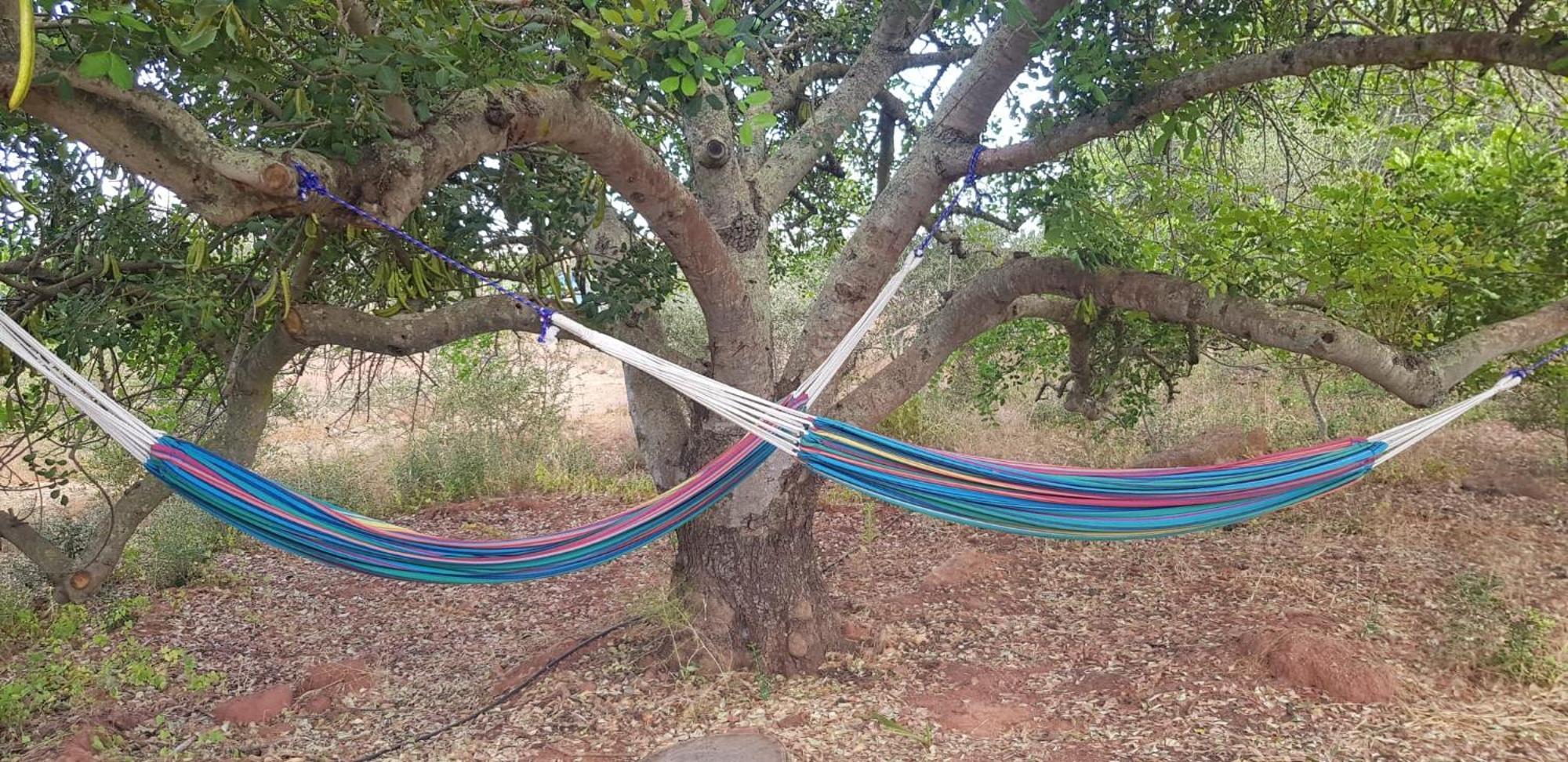 Quinta Da Fornalha - Santuario Agroecologico Castro Marim