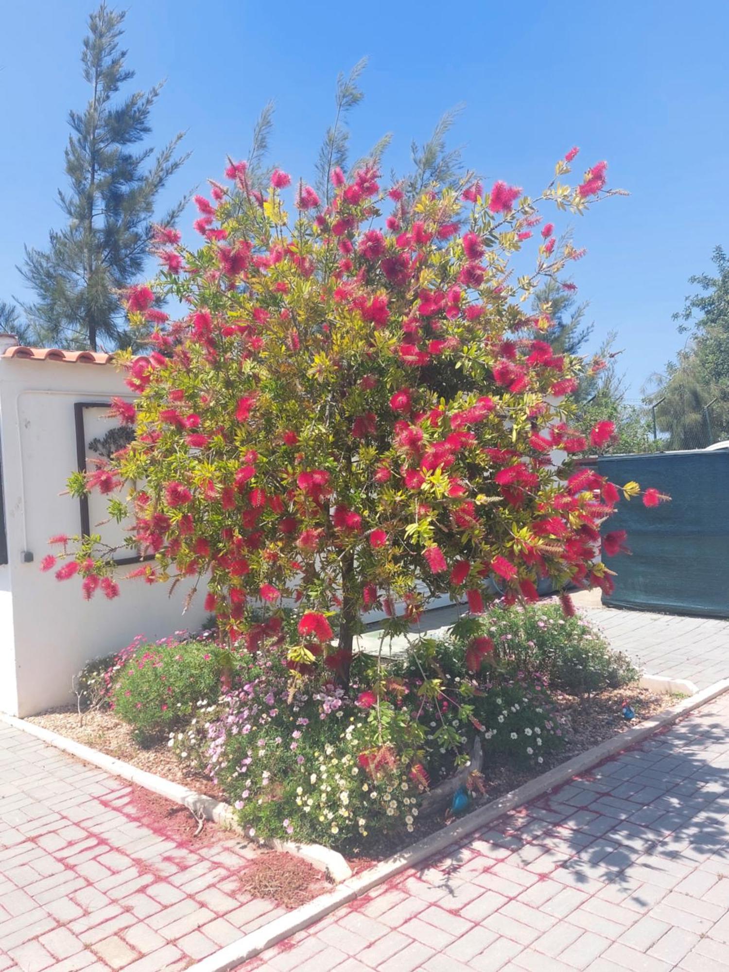 Vacations Apartment Tavira