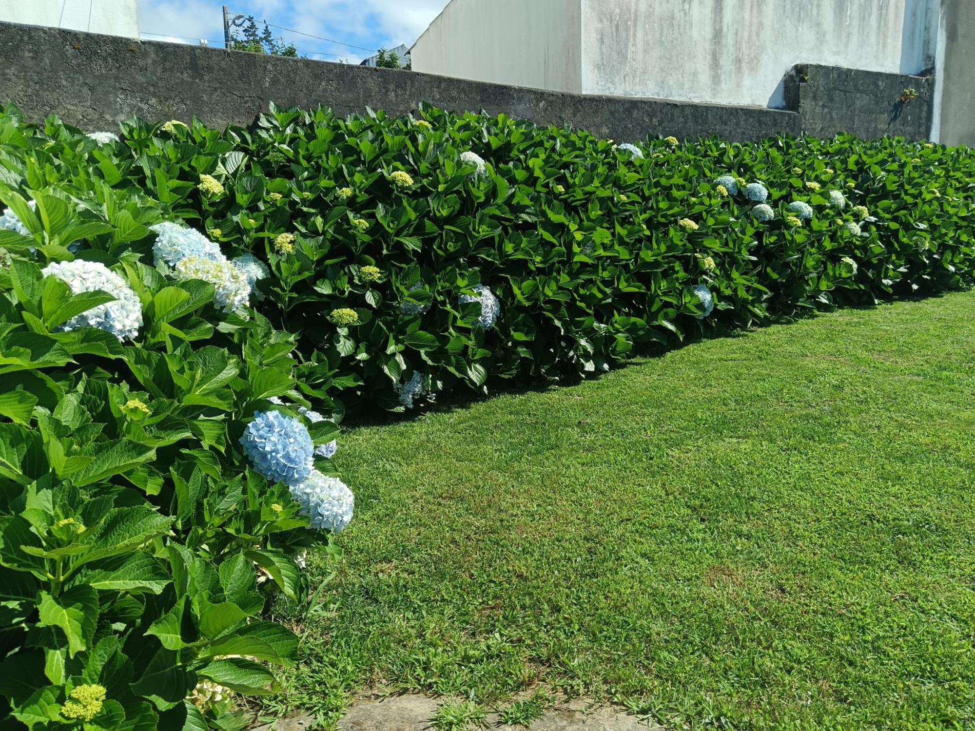 Clover's House - Al Casa de férias Algarvia
