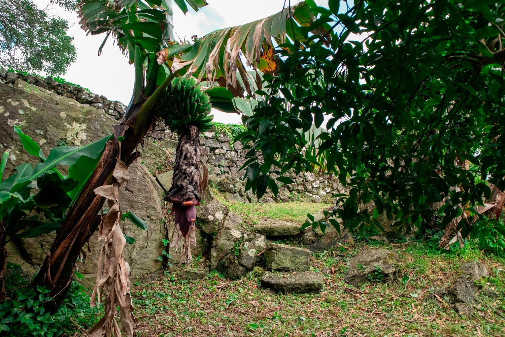 Farm stay Franco Da Serra Angra do Heroismo