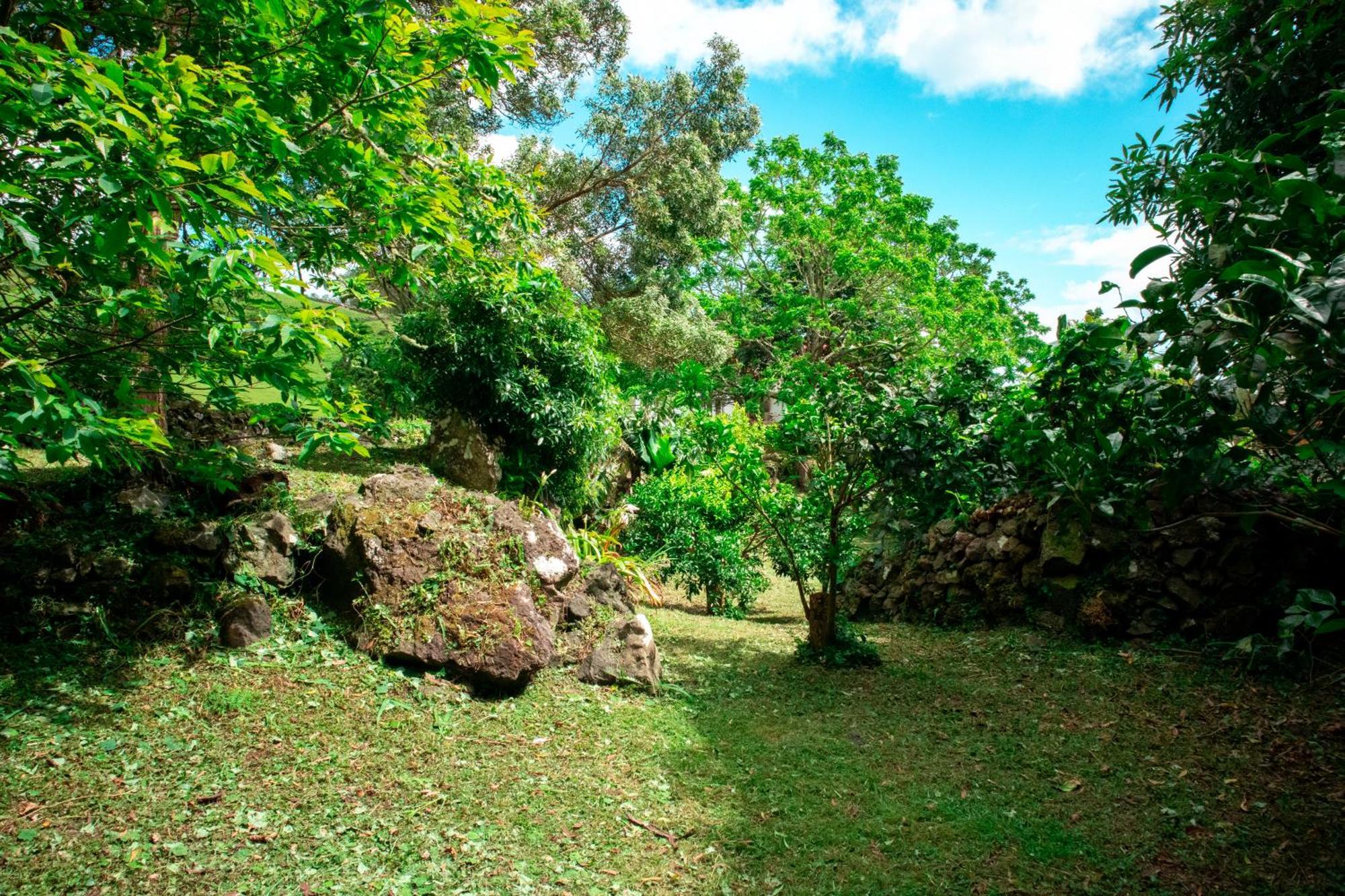 Franco Da Serra Farm stay