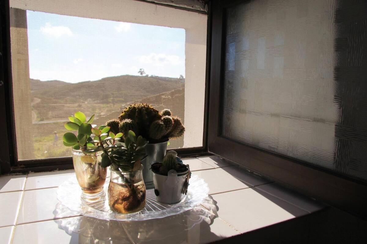 Casa Papoula *