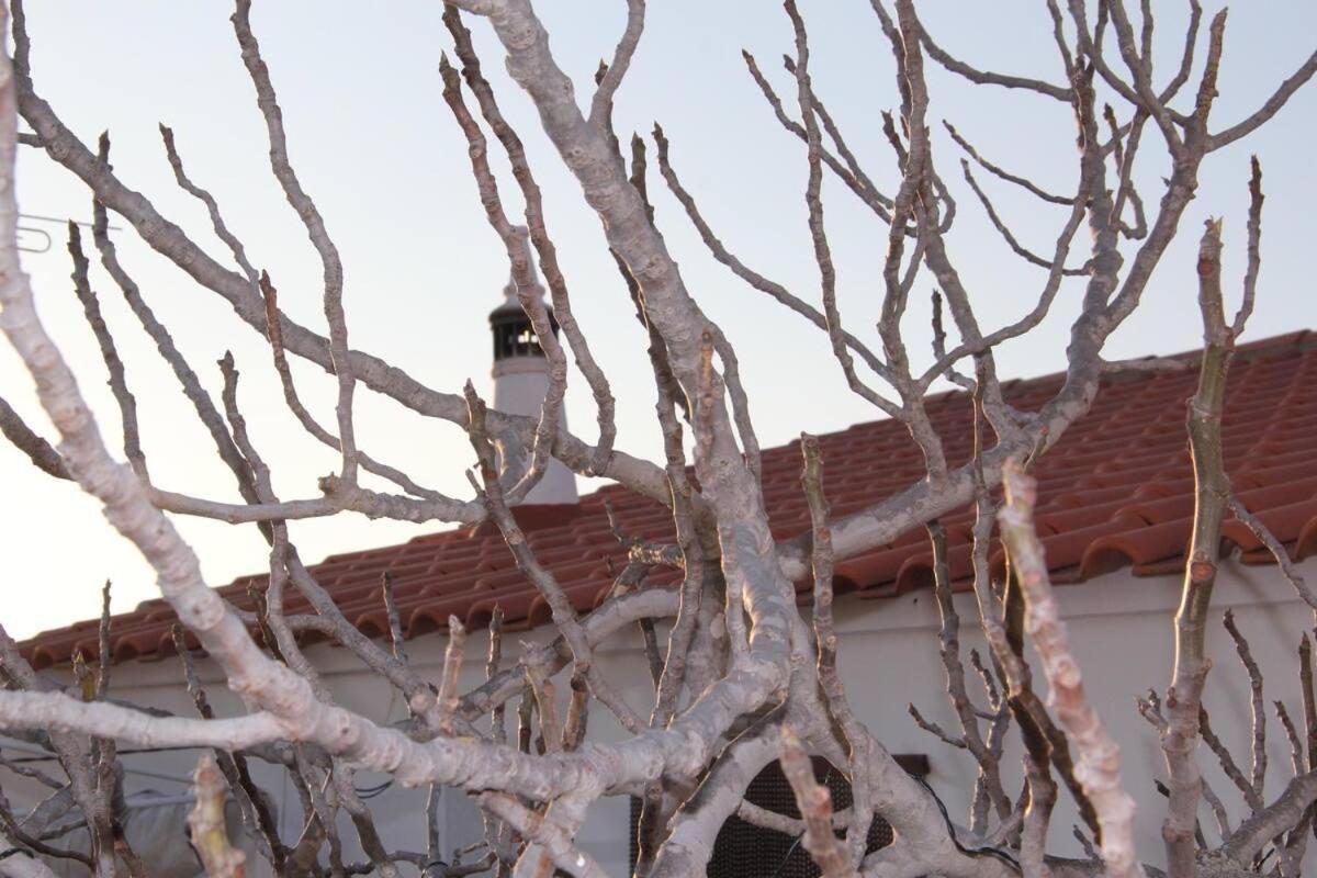 Holiday home Casa Papoula