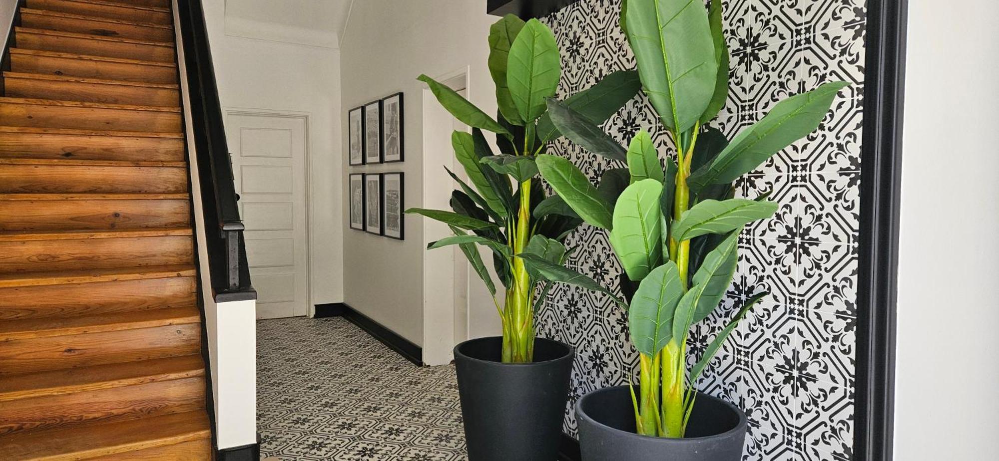 Apartment Casa 