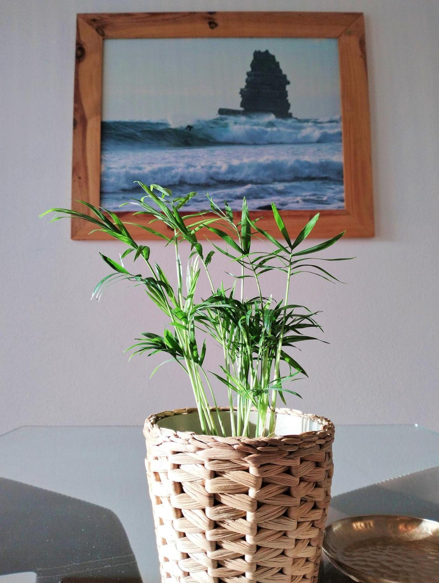 Bela Vista_cozy With Sea View * Praia da Arrifana