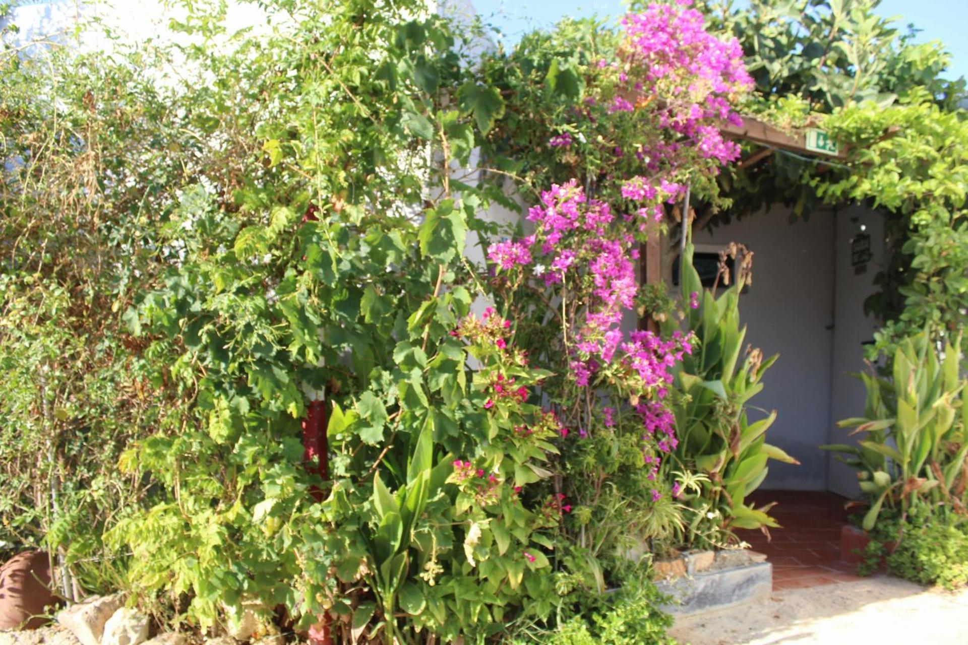 Retiro Dos Sonhos * Porches (Algarve)