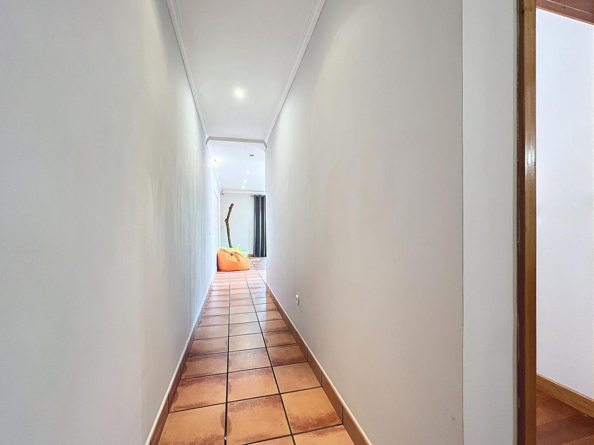 Casa Da Palmeira Holiday home
