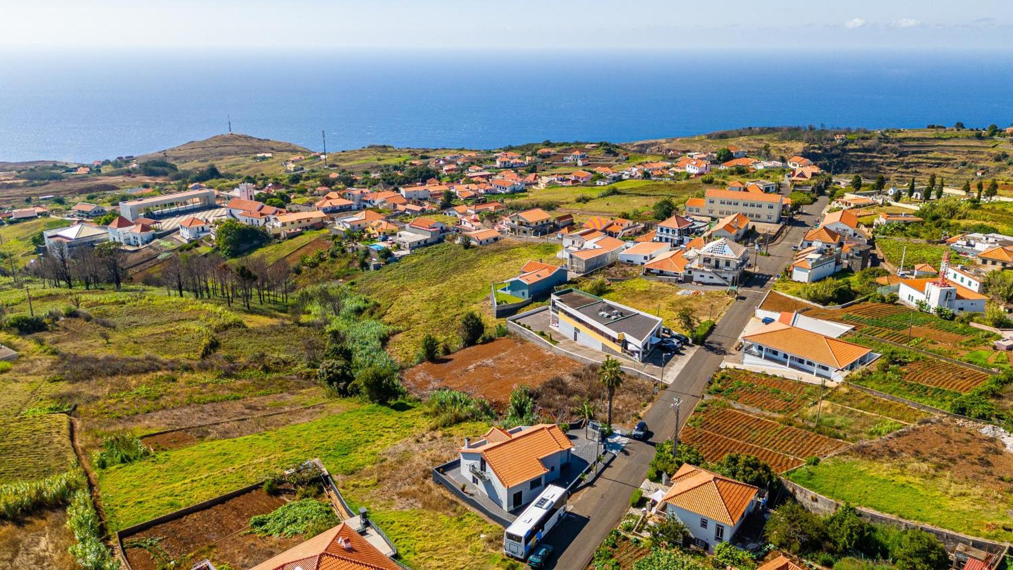 Werner By Madeira Dream