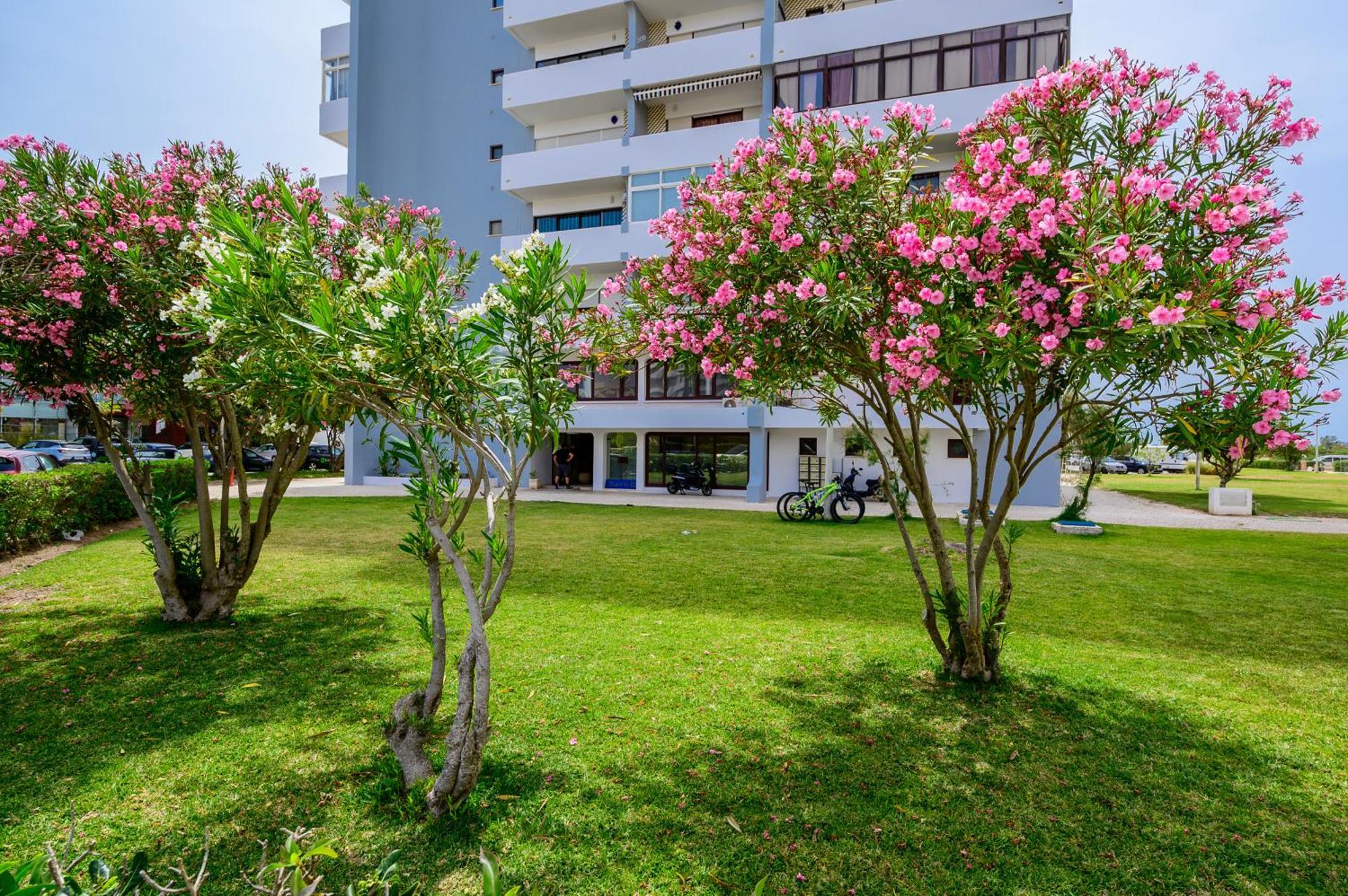 Magnific Sea View Apartment *