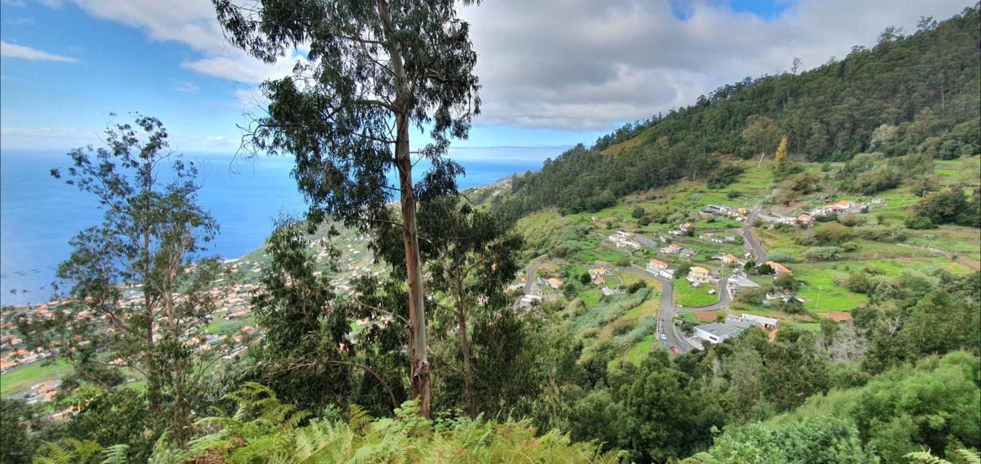 Casa Avos & Netas, Fantastic View, Near The Nature! Arco da Calheta (Madeira)