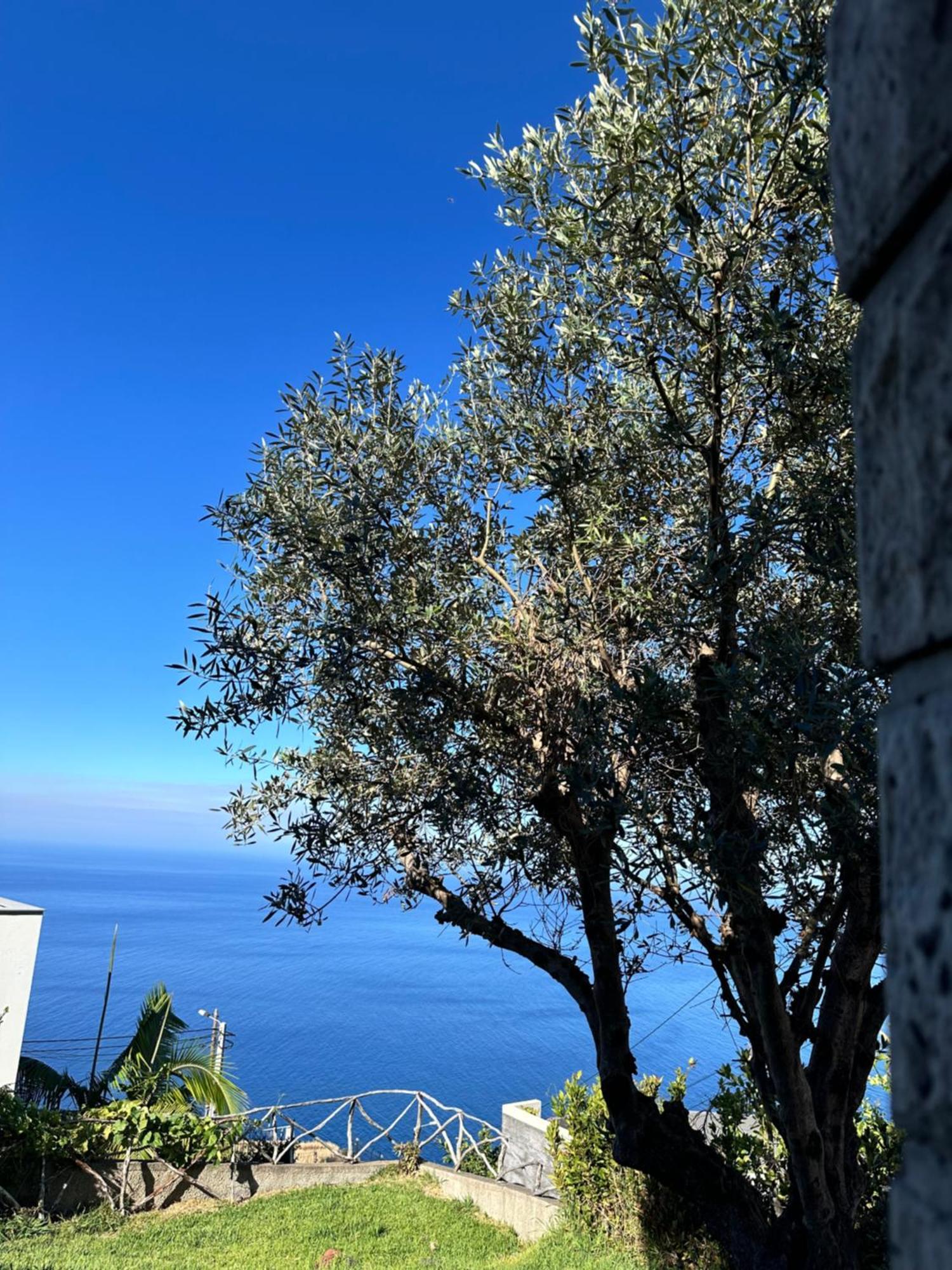 Cozy Sea View House Faja Da Ovelha