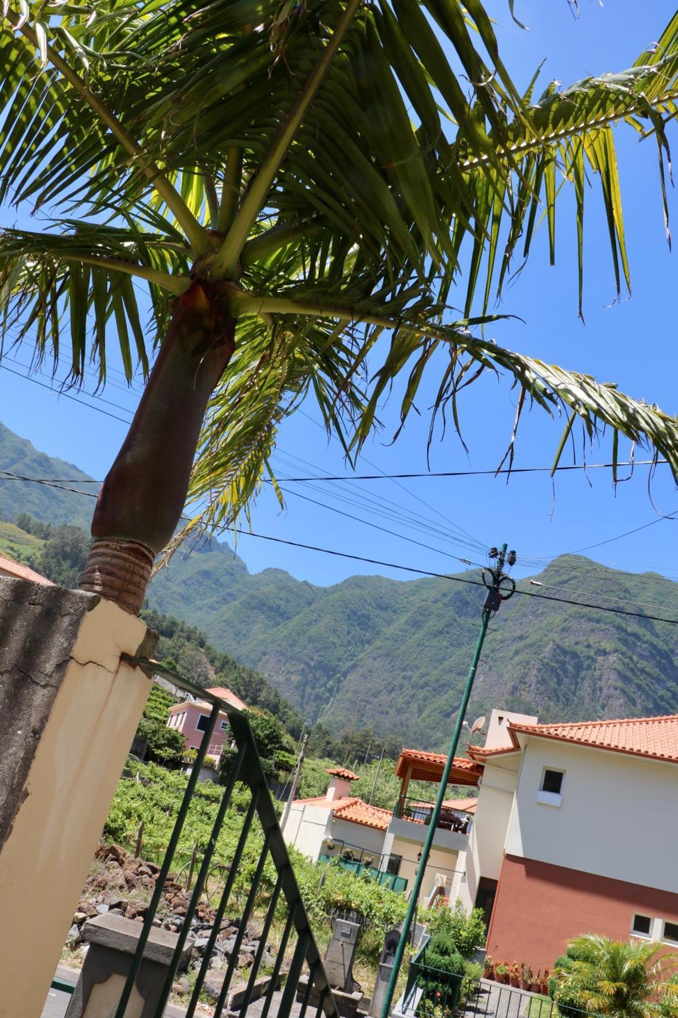 Mountain View Holiday home