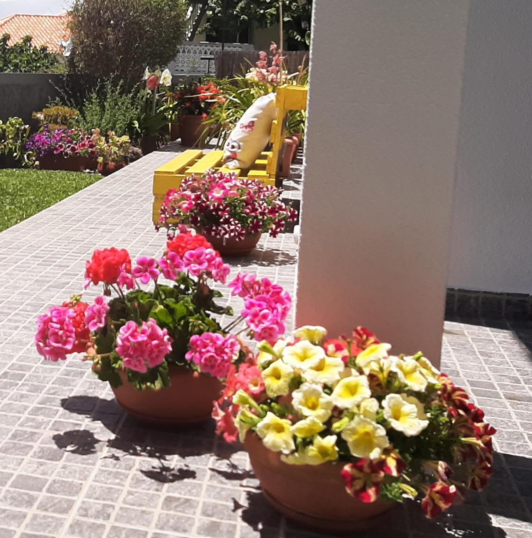 Casa Ventura Holiday home Arco da Calheta (Madeira)