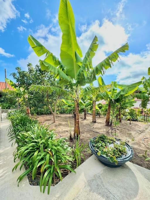 Holiday home Casa Juliana *