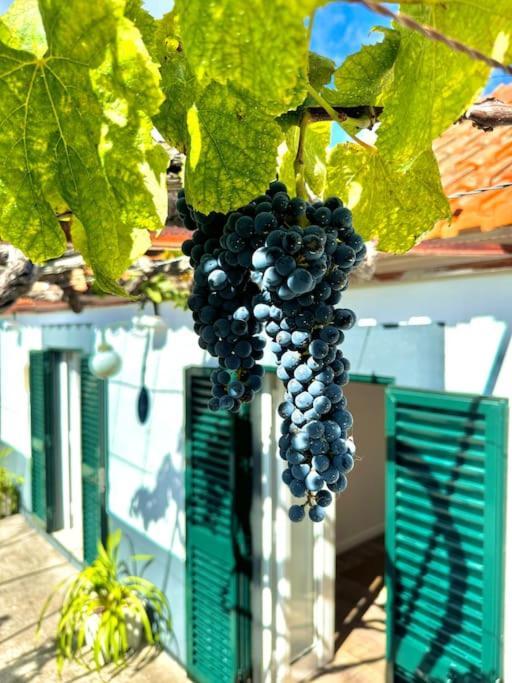 Holiday home Casa Juliana Ribeira Brava