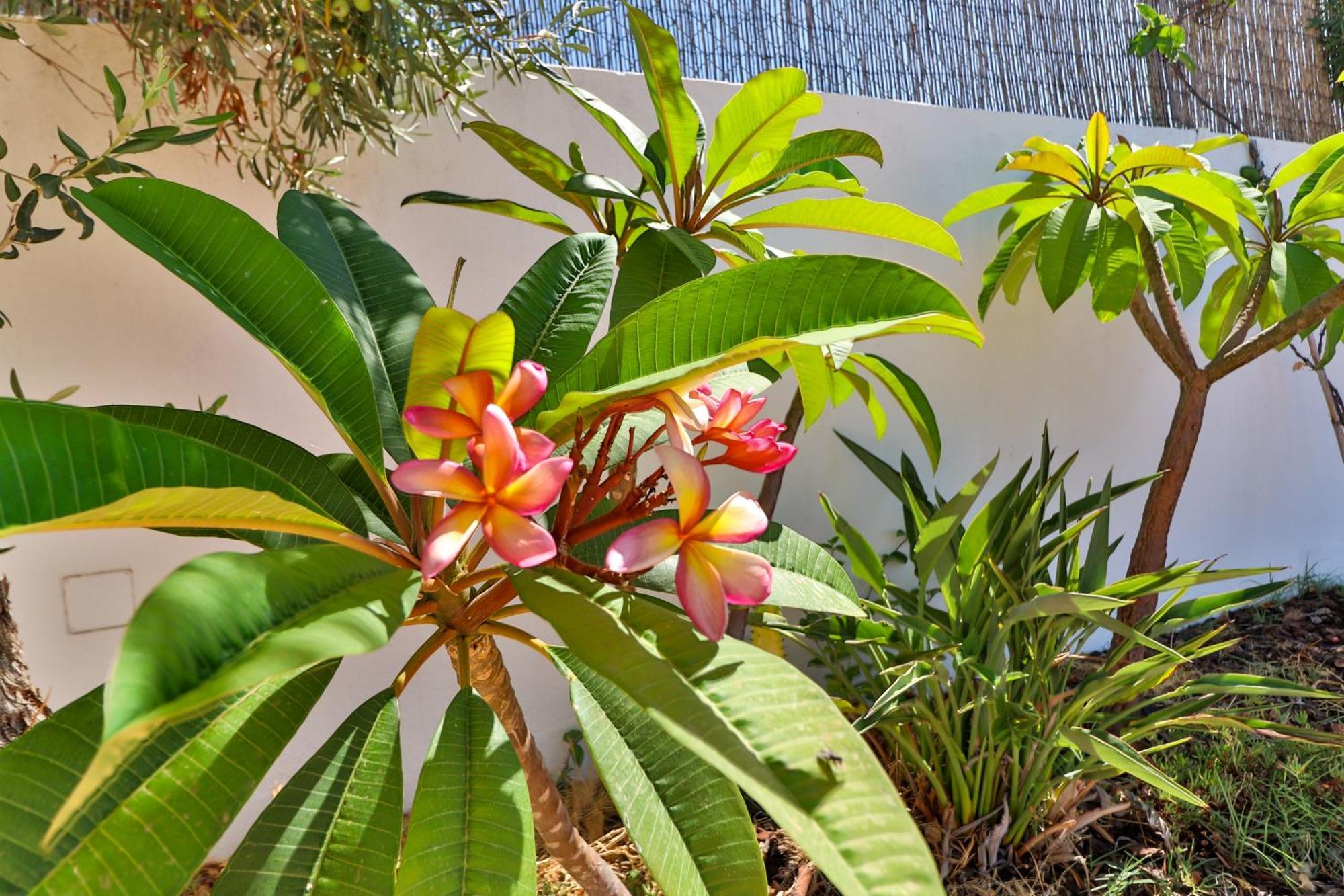 Casa de hóspedes 102 T