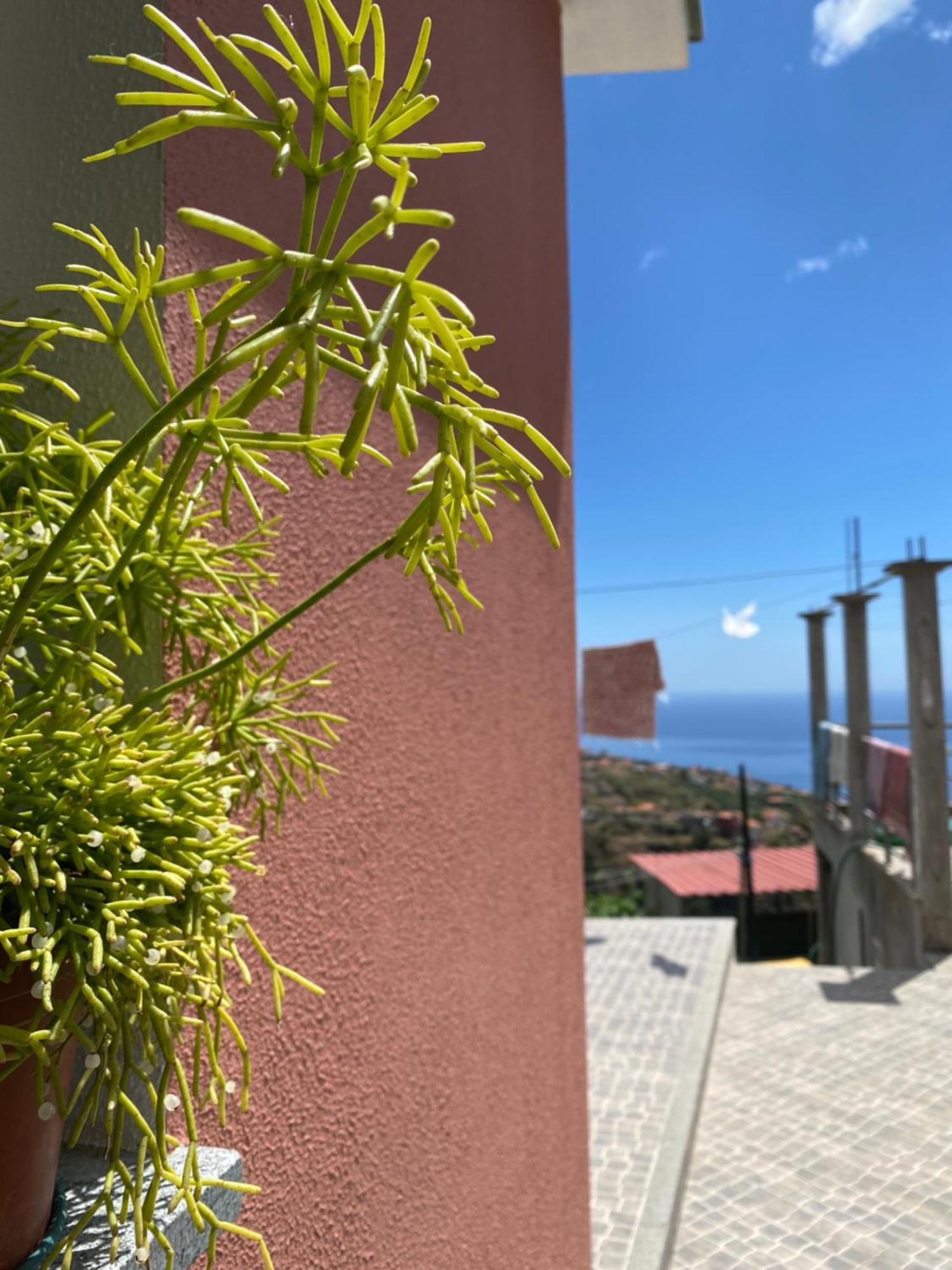 Vakantiehuis Mine House Calheta (Madeira)