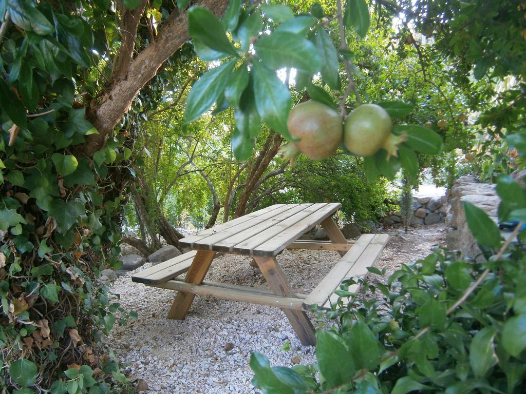 Quinta Do Tempo Country house