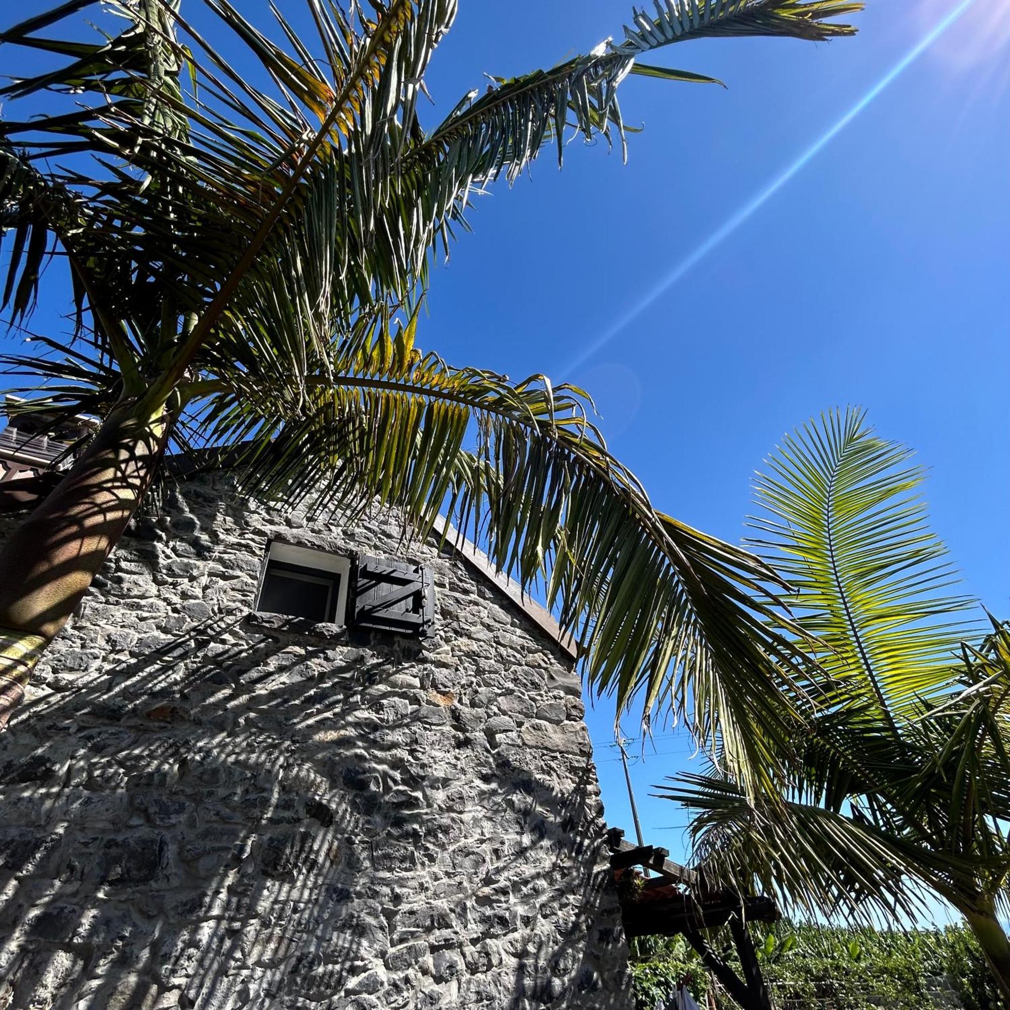 As Casinhas Da Madeira - Cosy Stone In A Subtropical Garden *