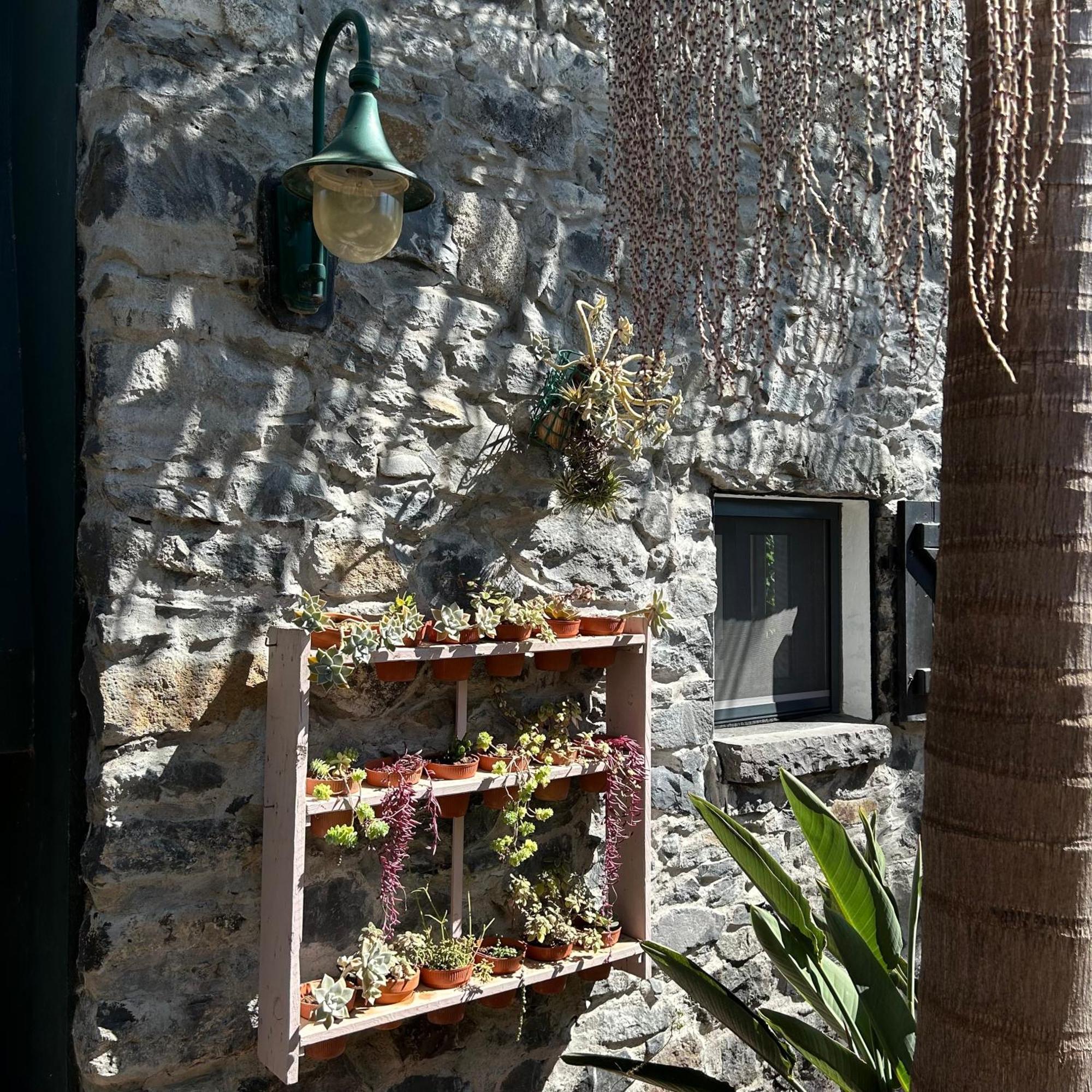 Holiday home As Casinhas Da Madeira - Cosy Stone In A Subtropical Garden