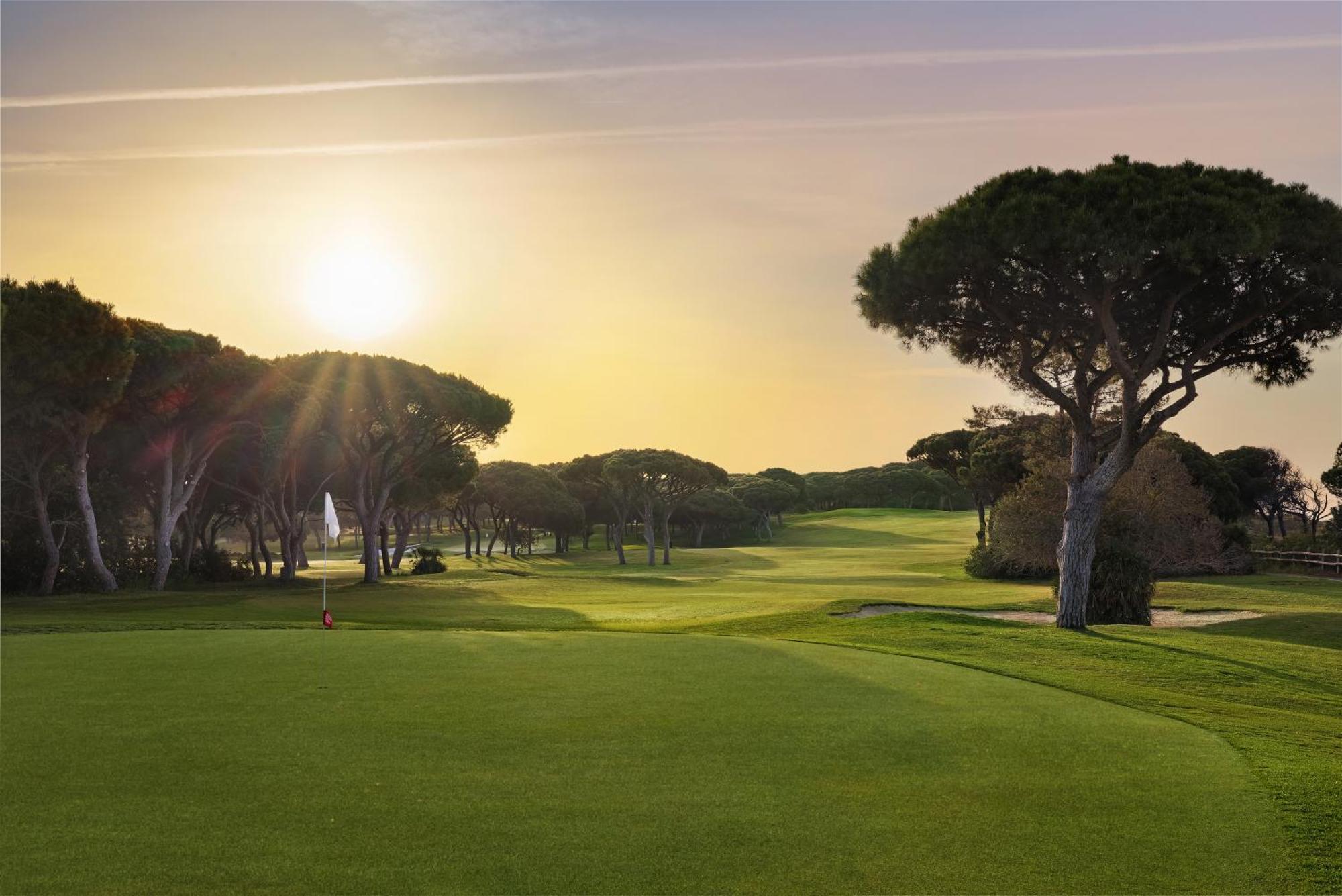 Pine Cliffs Hotel 5*