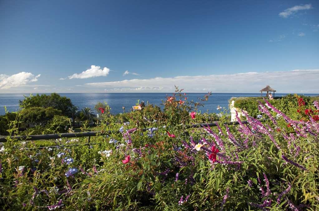 Apartahotel The Porto Mare - Portobay Funchal (Madeira)