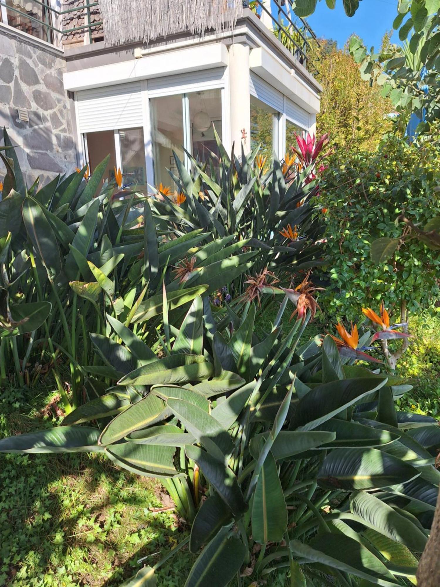 Holiday home Casa-albatros *